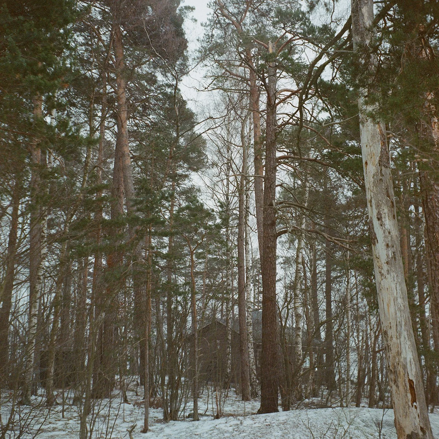 Cabin.jpg