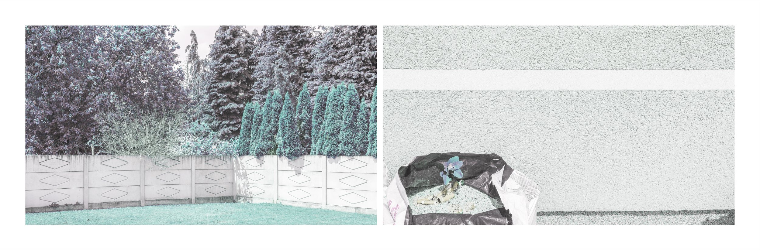 The Illusion of Control