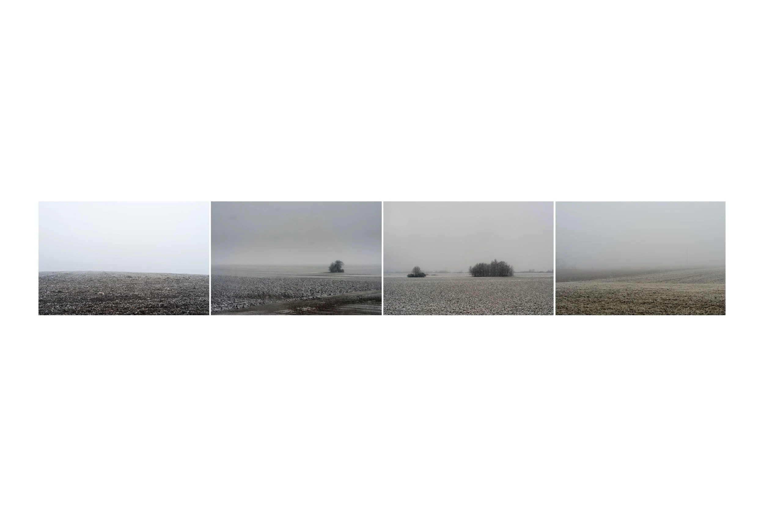 4 snow horizons.jpg