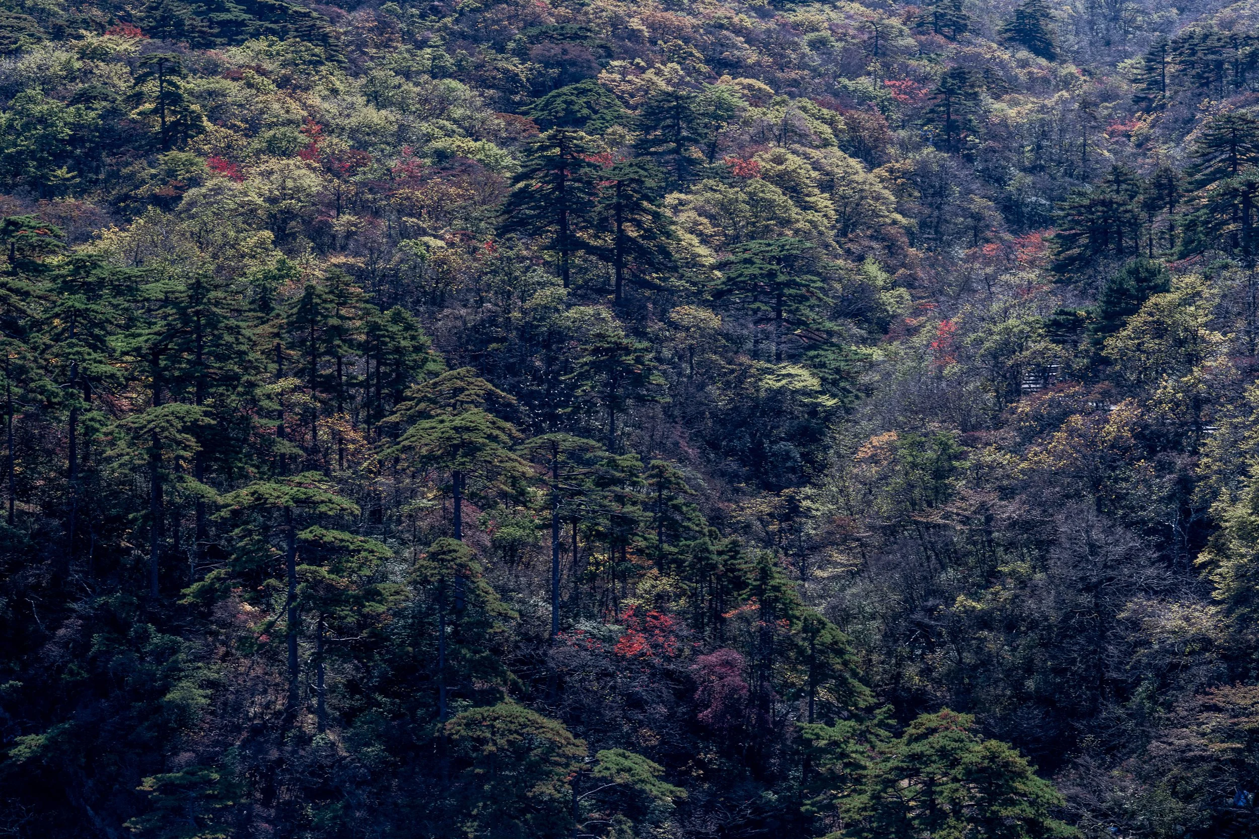 PhotoNicolo_191020__NIC6354.jpg