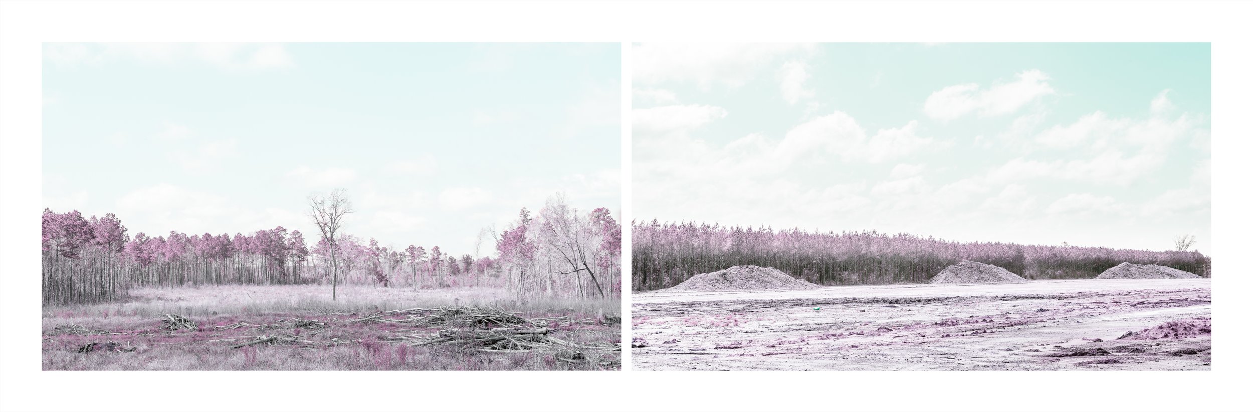 A Matter of Perspective