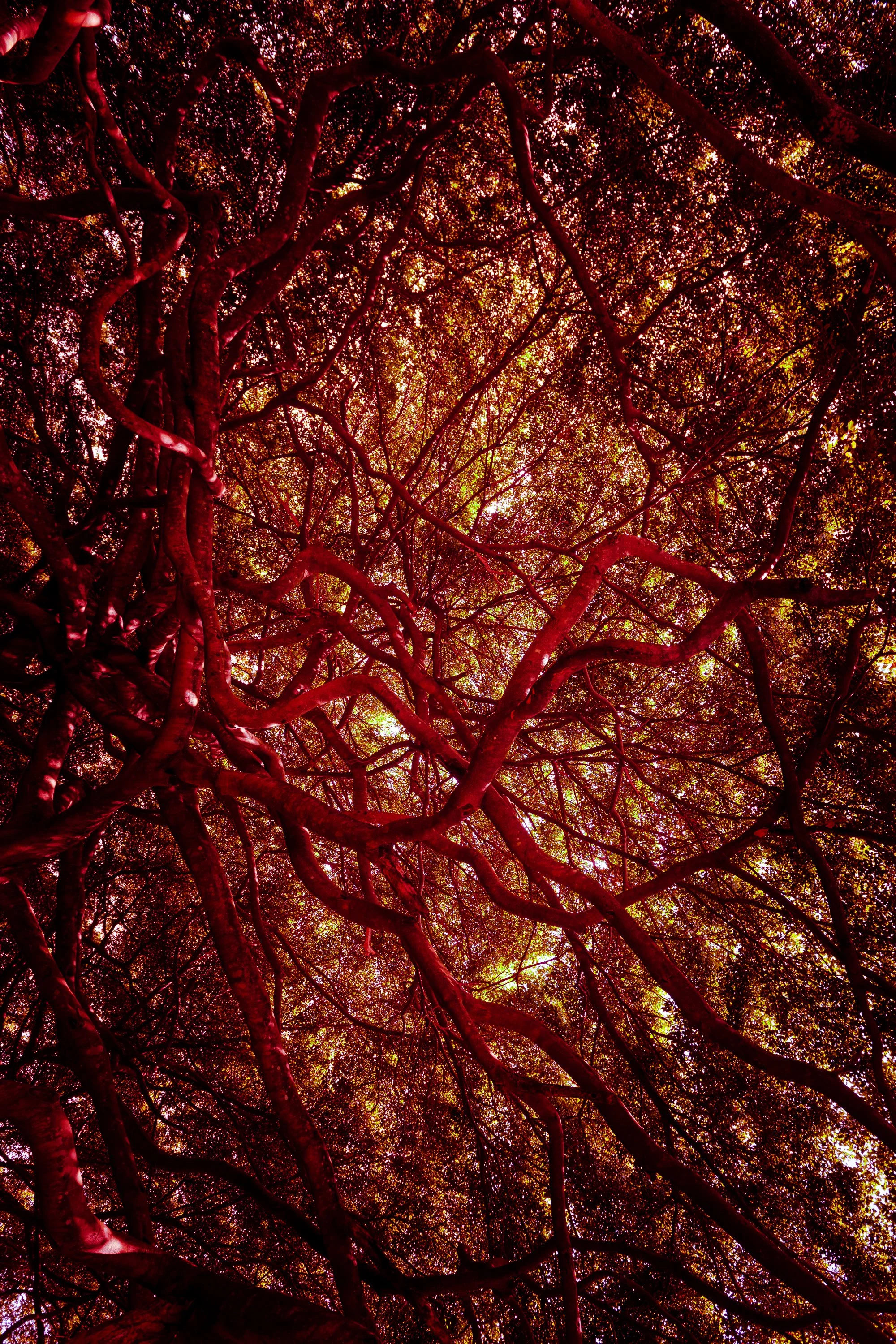 PhotoNicolo_111019_NIC0394.jpg
