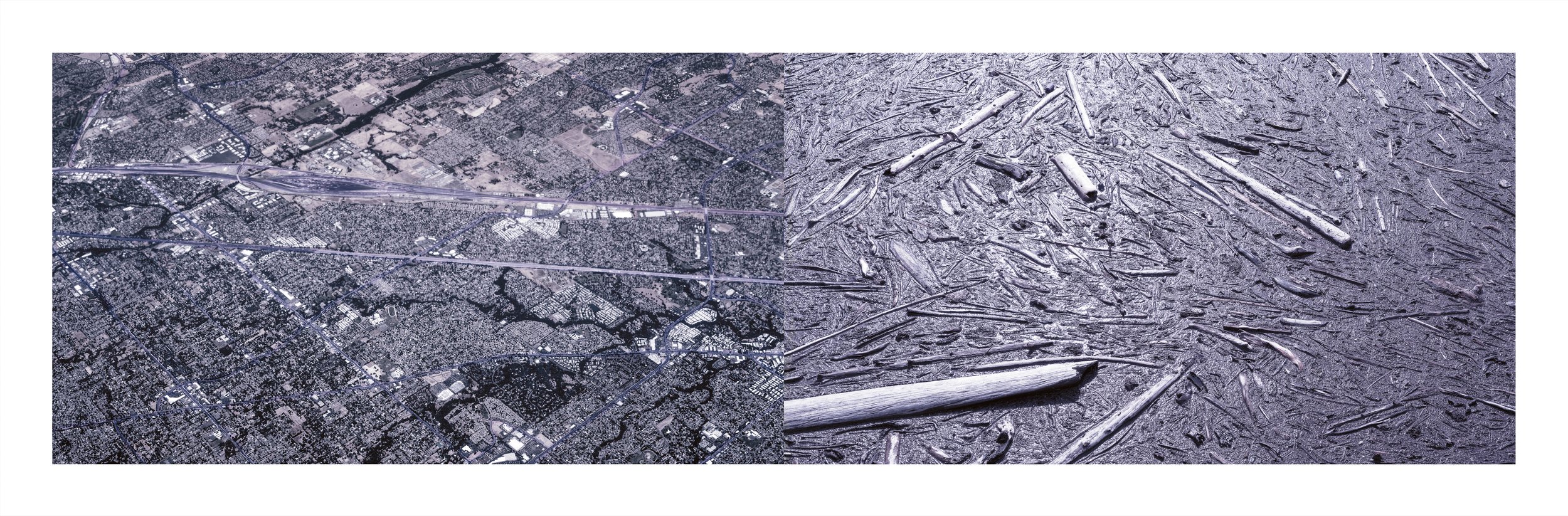 Condemned to Be Free