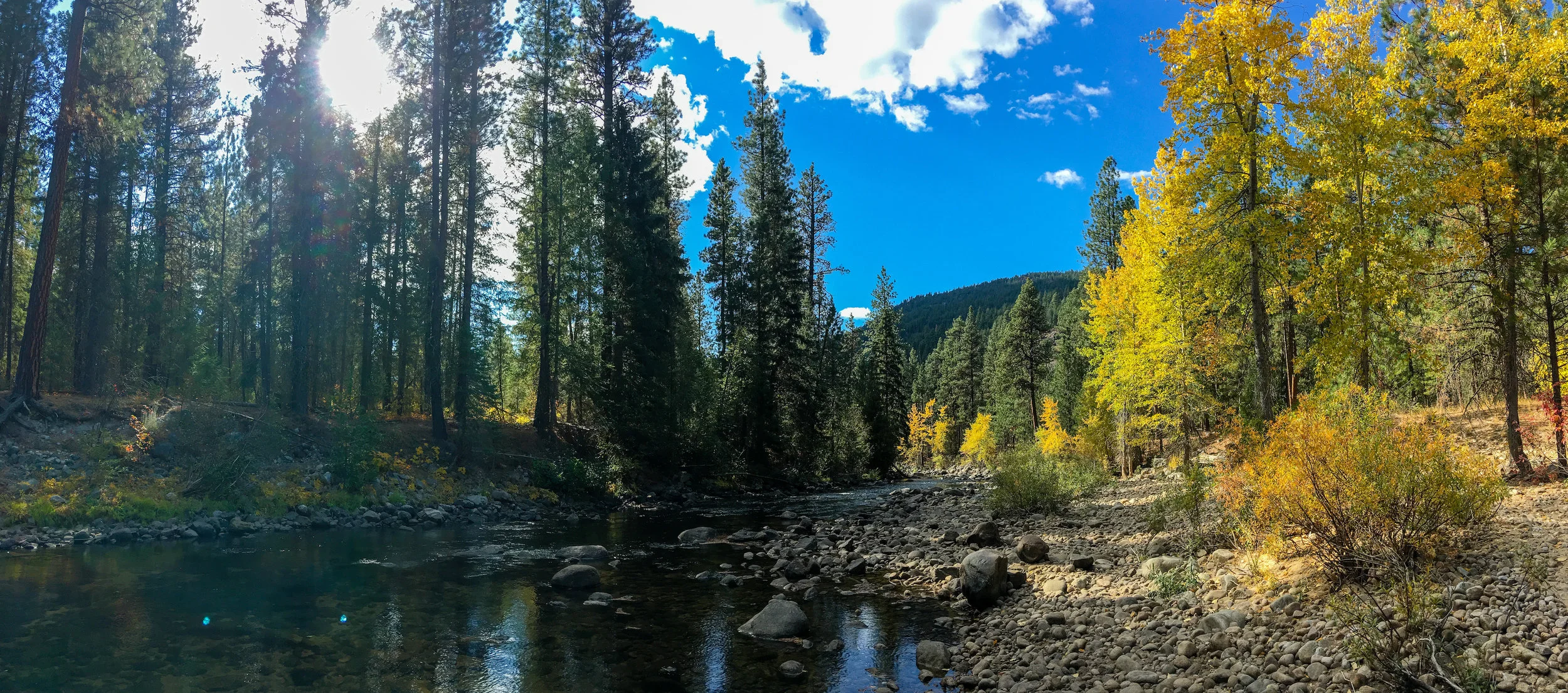 21_Falls_Creek_creek_3 copy.jpg