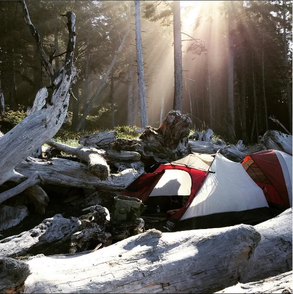 09_Rialto_Beach_site_1.jpg