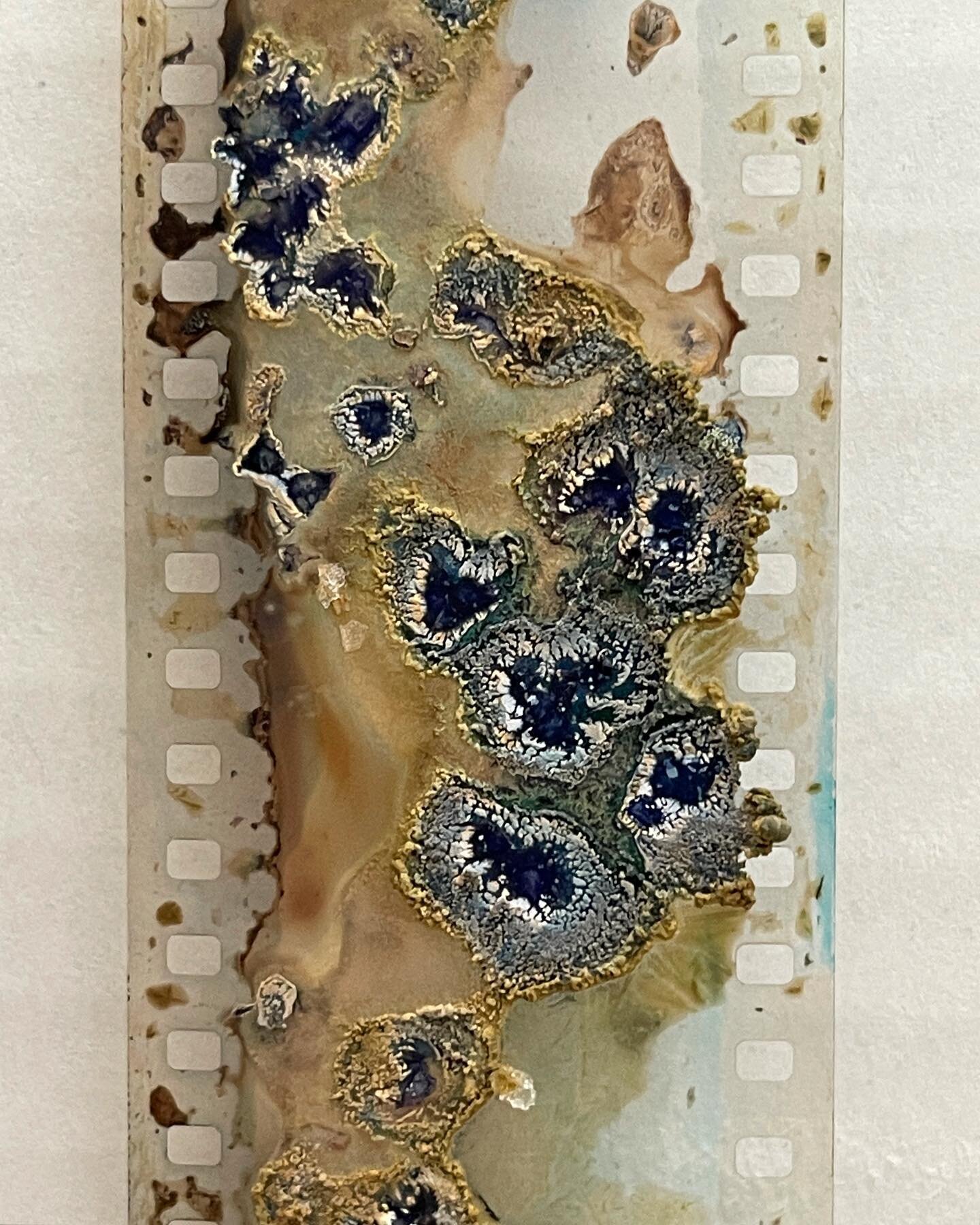 Front and back of some undeveloped wet cyanotypes on 35mm. Reminds me of agates. 
.
.
.
#cyanotype #cyanotypeonfilm #filmisnotdead #35mm 
.
Made in a remote workshop with:
@katemakesfilms @katelainprojects 
@ics_film
@nwfilmforum