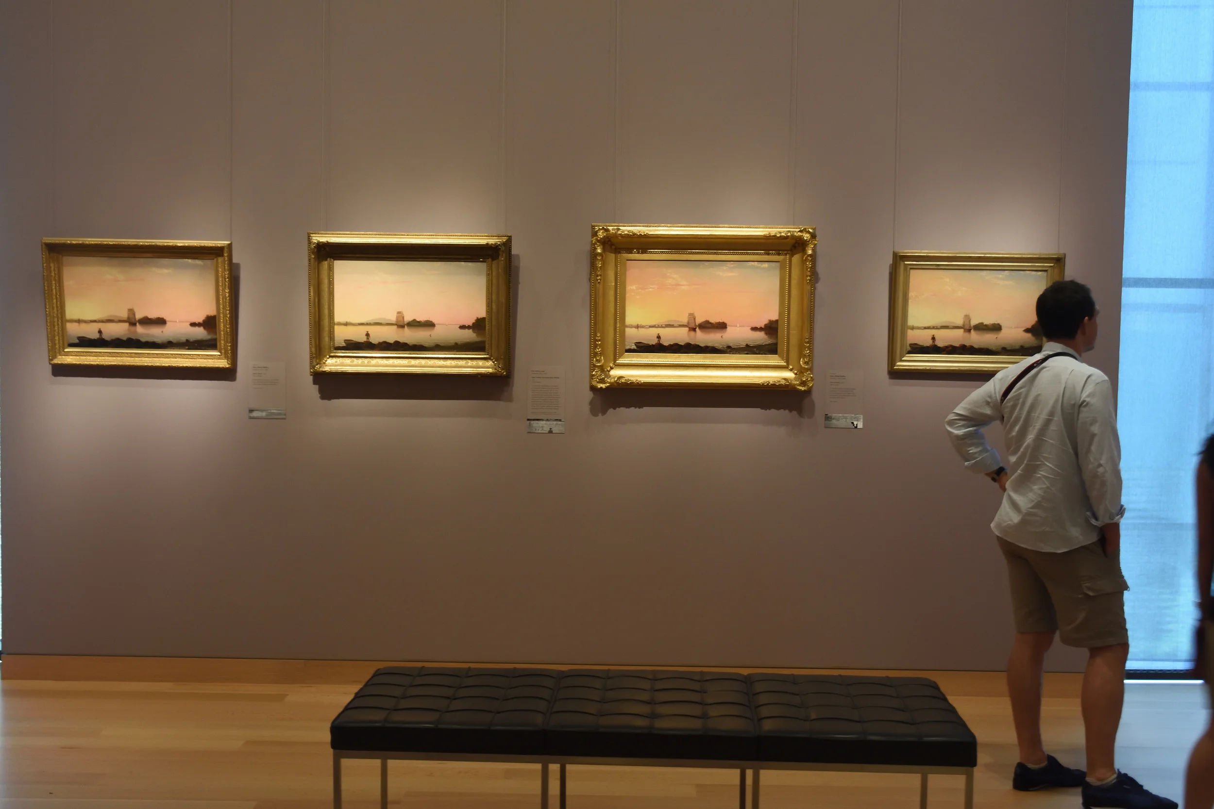 Museum of Fine Arts 2016