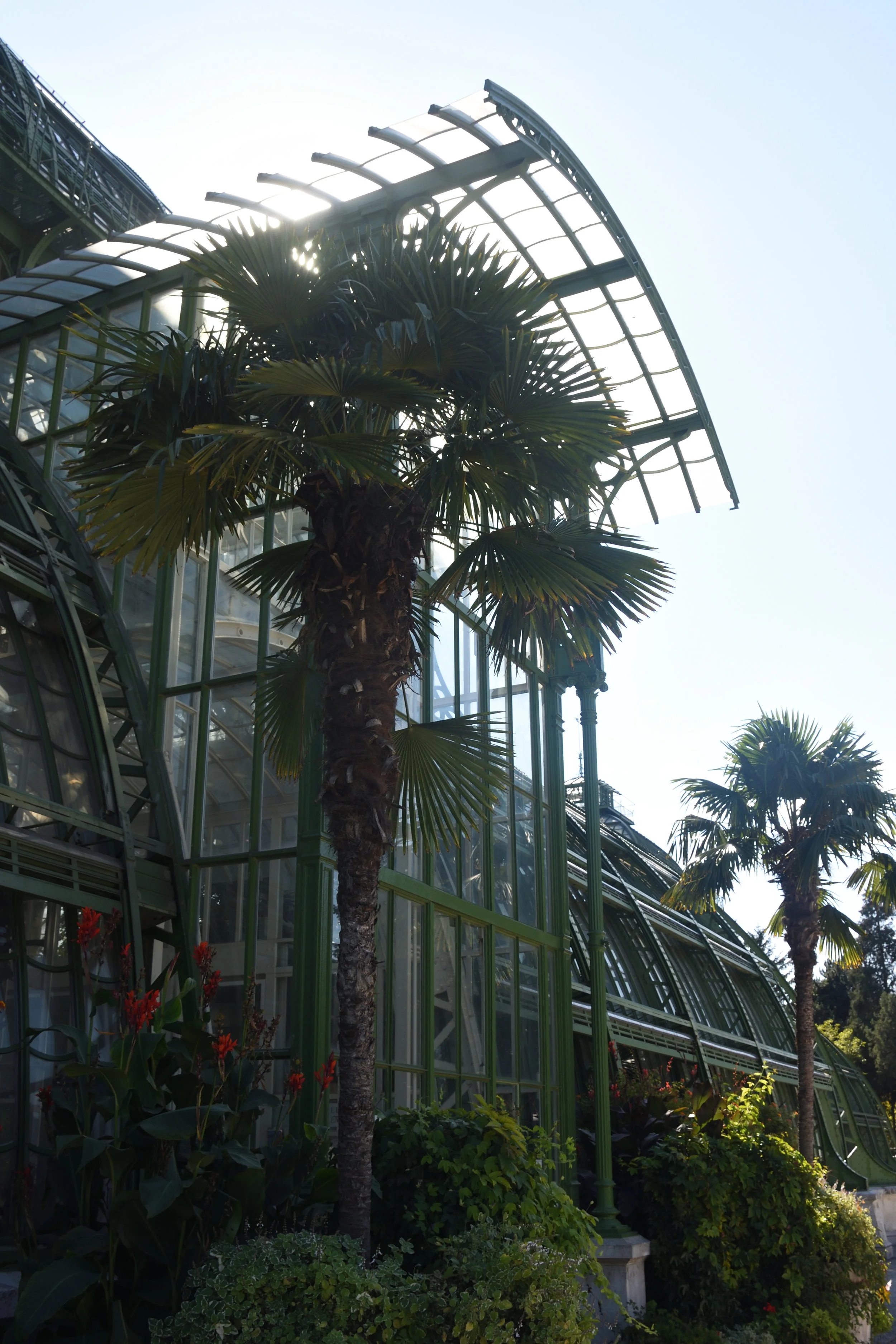 The Schönbrunn Palm House, Vienna 2016