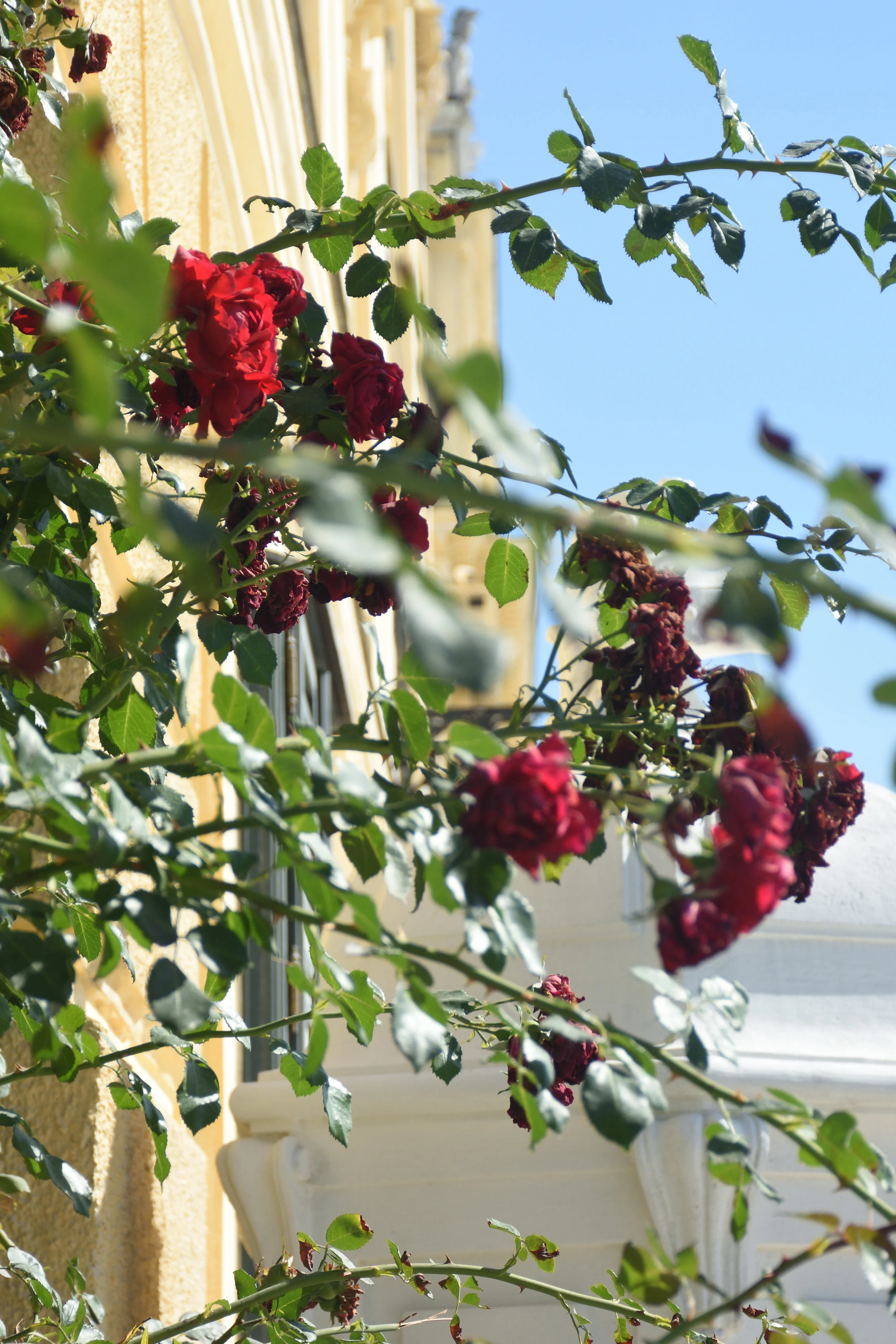 Schloss Schön brunn, Vienna 2016