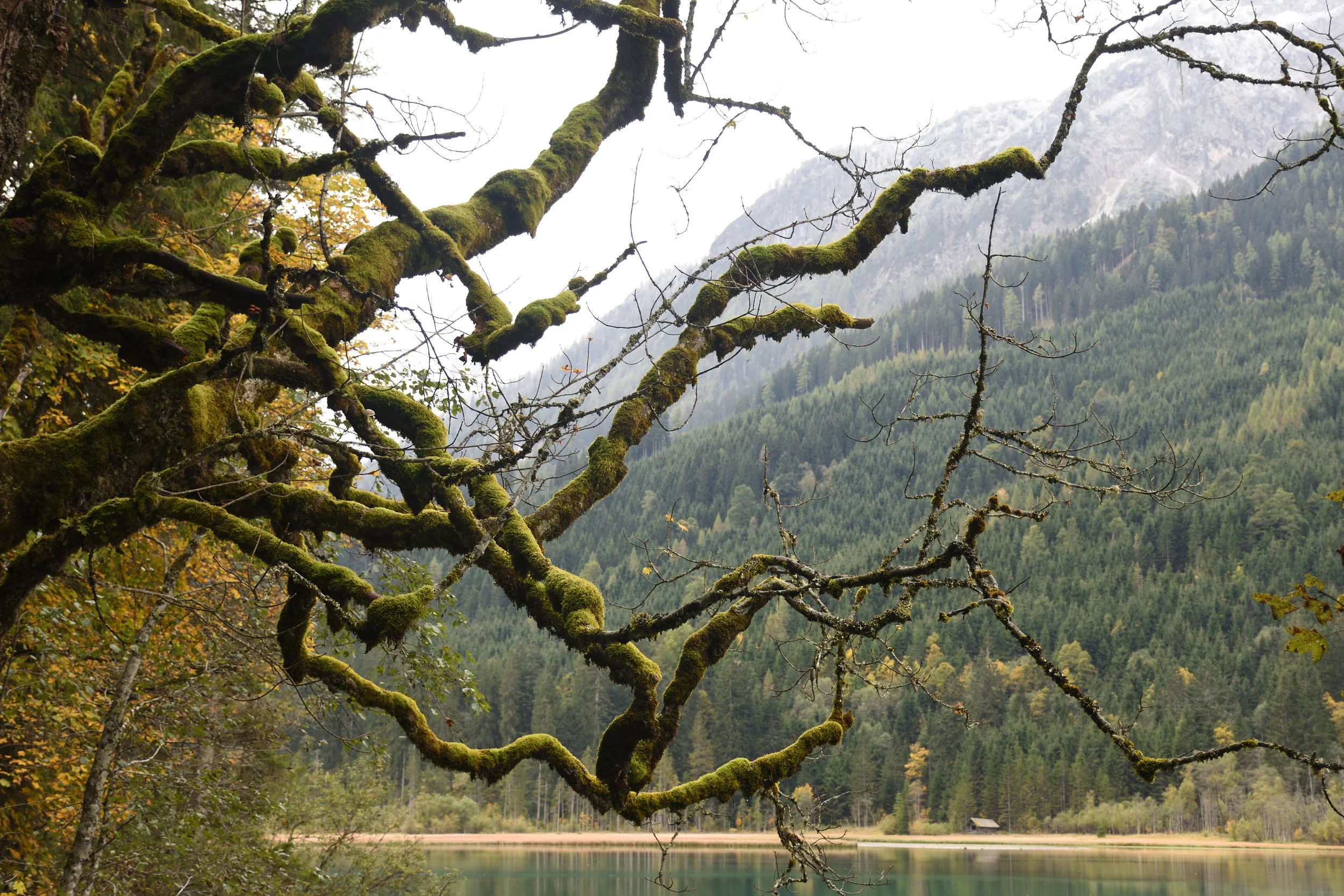 Jägersee, Salzburgerland, Austria 2016