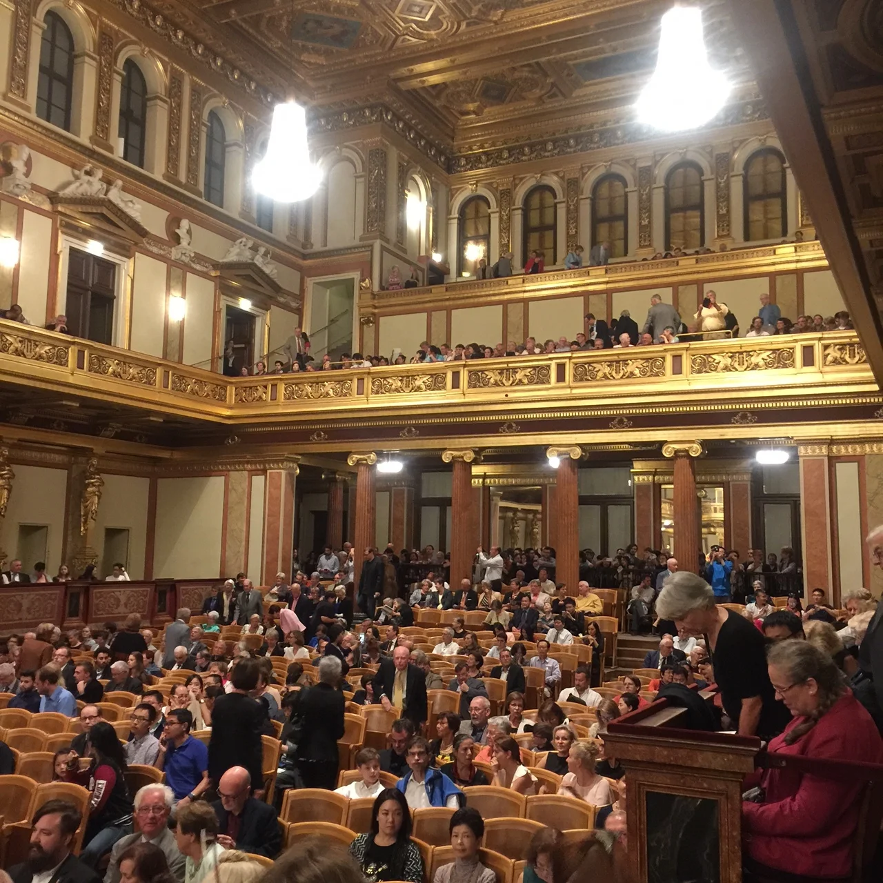 Evening at Musikverein, Vienna 2016