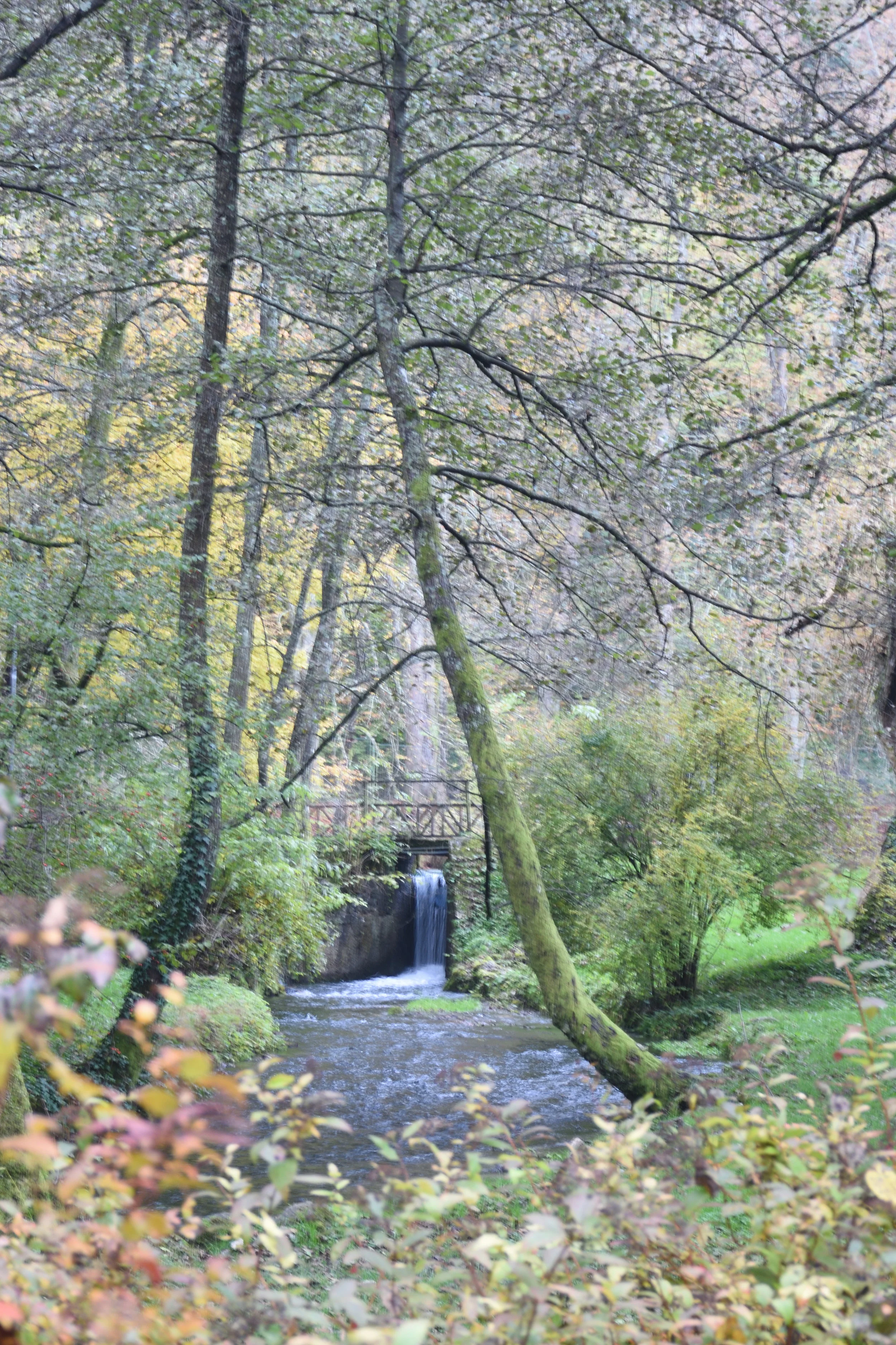 Vrelo Bosne, Sarajevo 2016