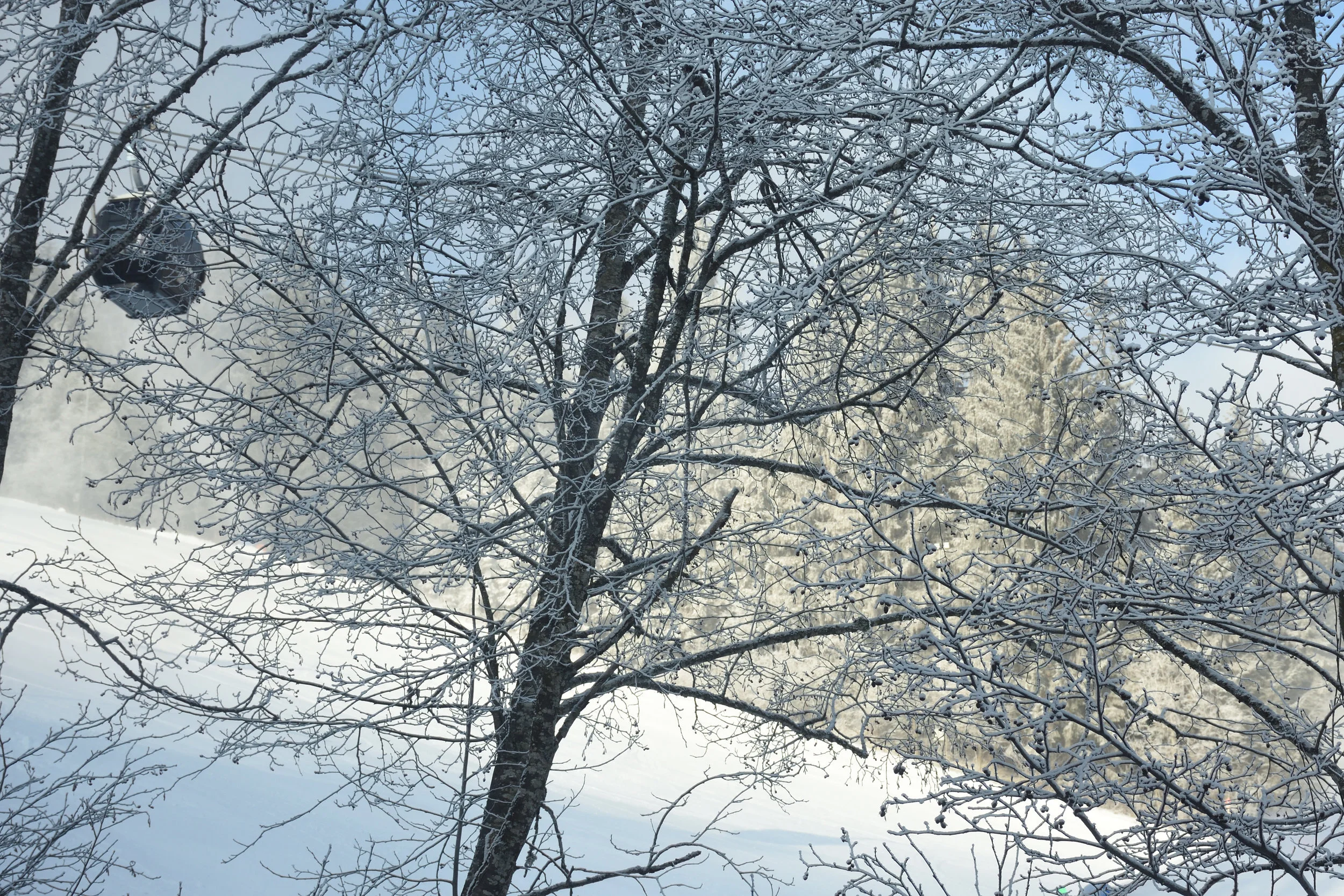 View from our kitchen window, Flachau 2016