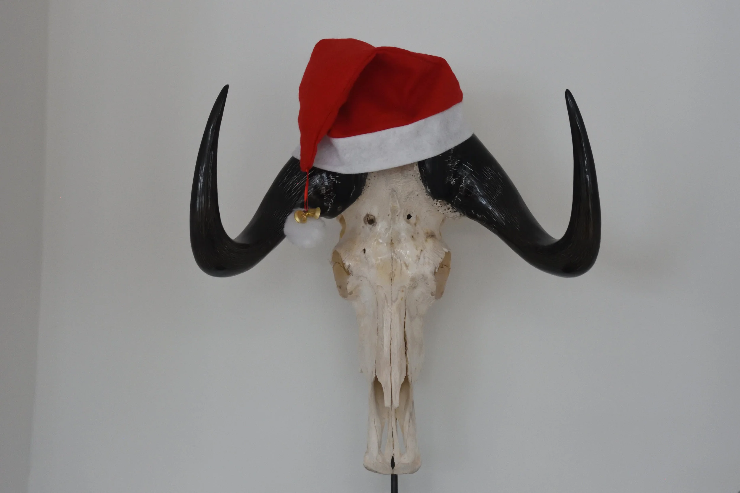 Our Chrismas Man, 2016