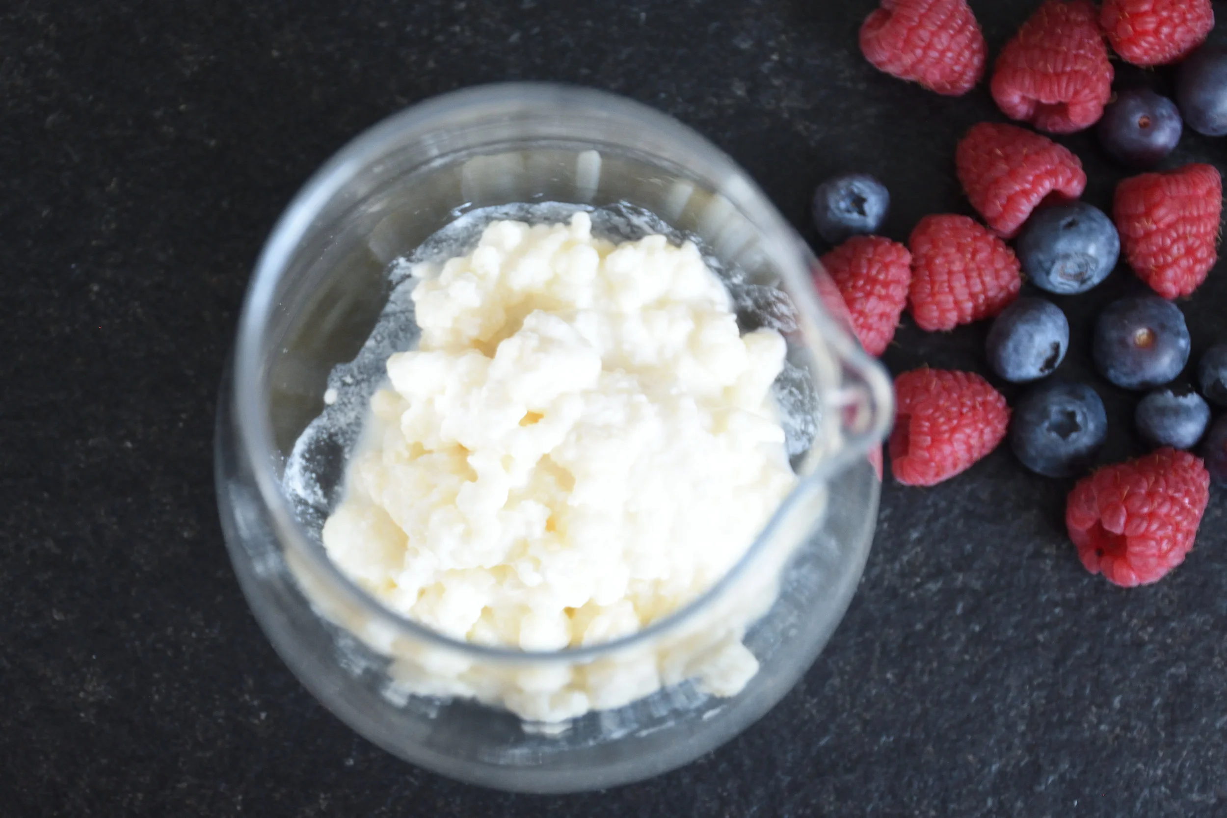 Kefir mushrooms