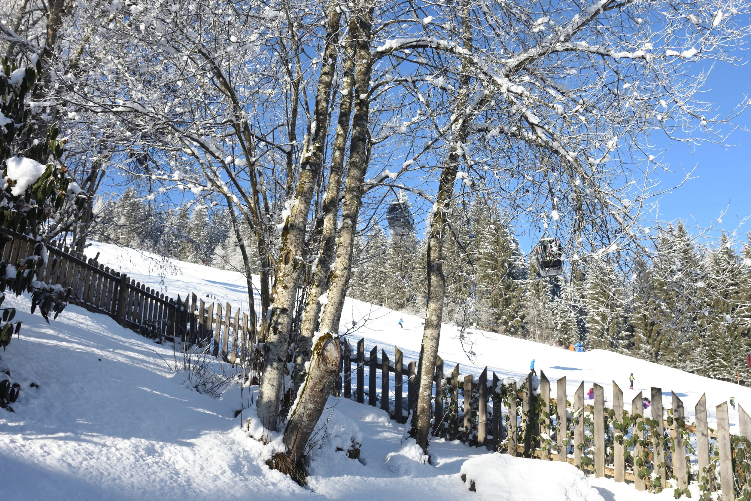 View from out kitchen window in winter