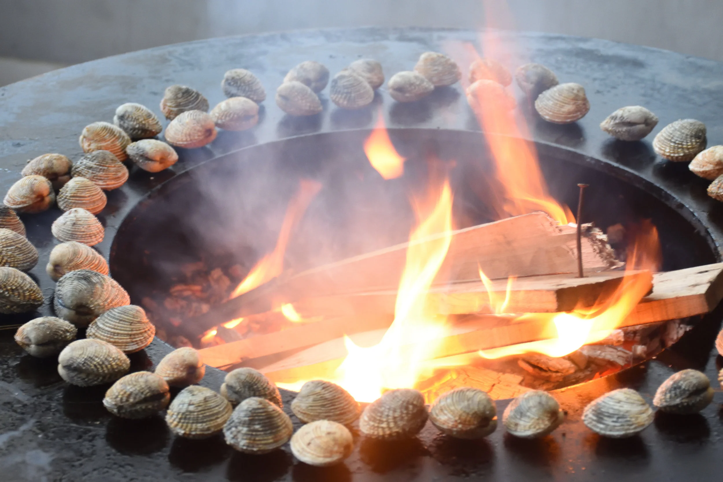 Grilling mussels just caught from the sea, Villa Club 2016