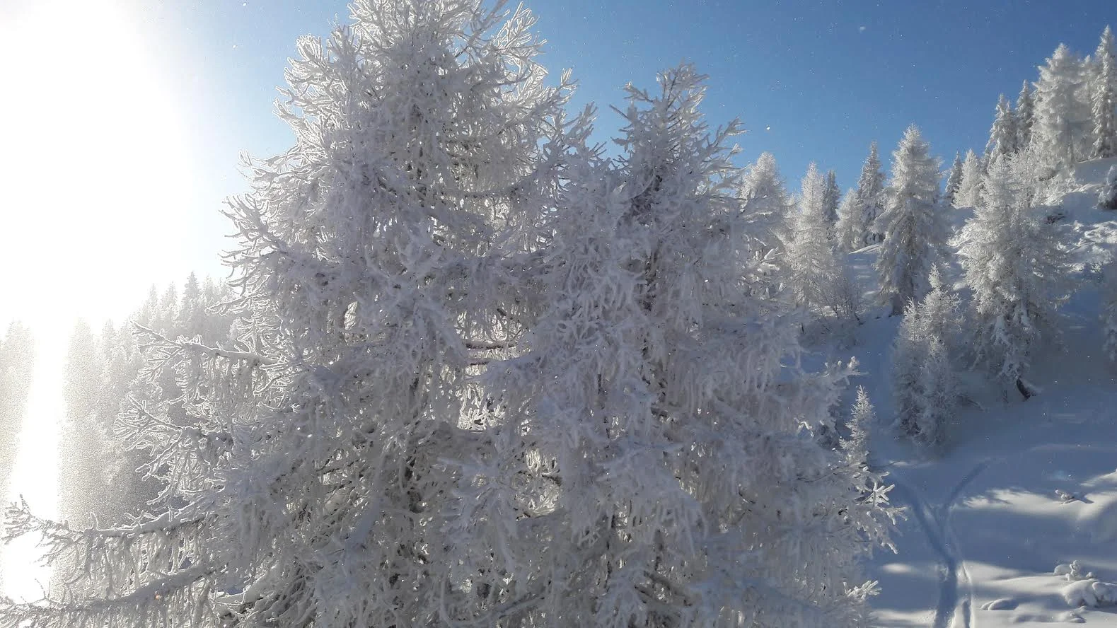 Flachau, 2017