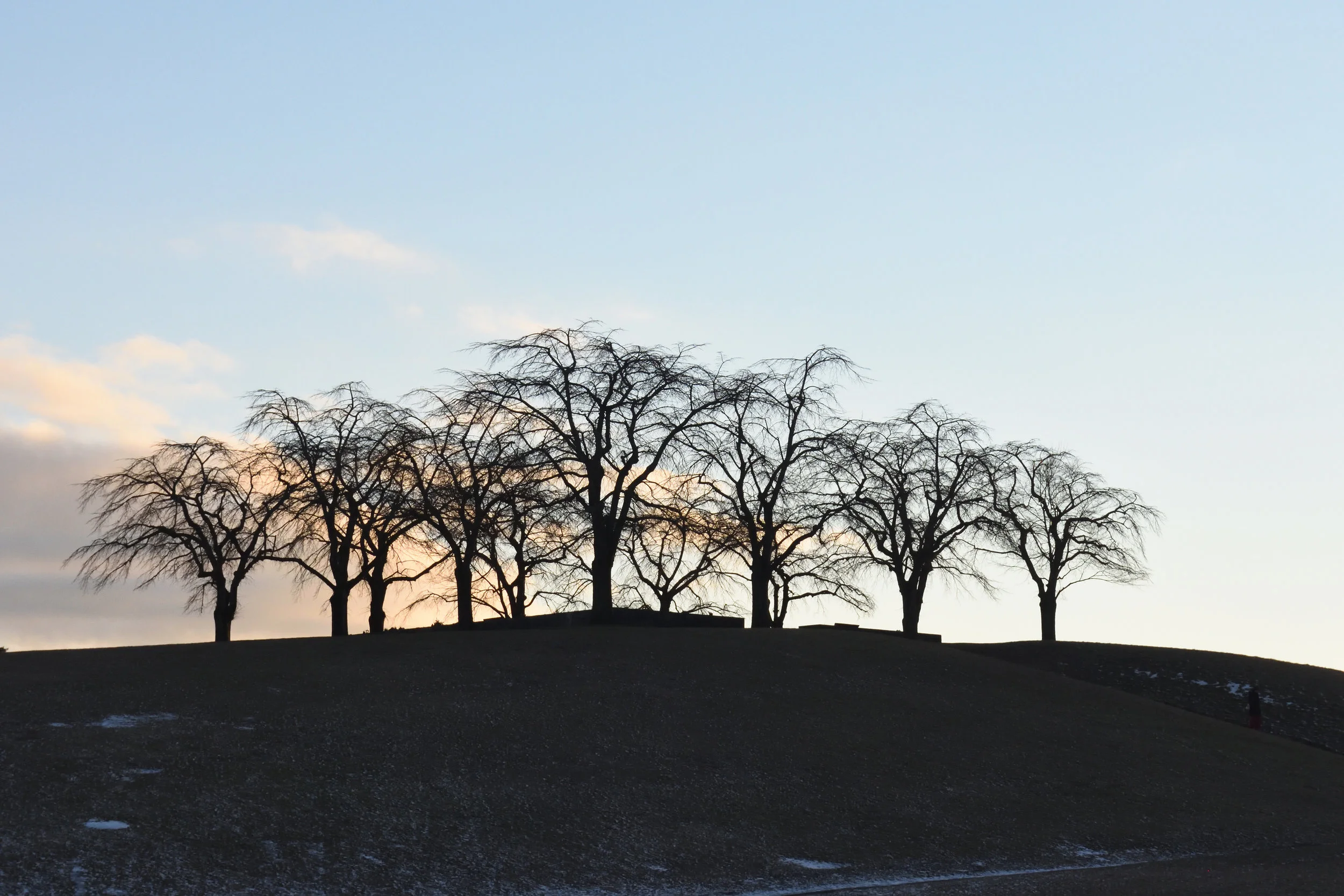 Skogskyrkogården, Stockholm 2017