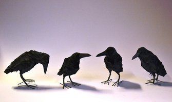 7) Birds by Mikael Nilsson