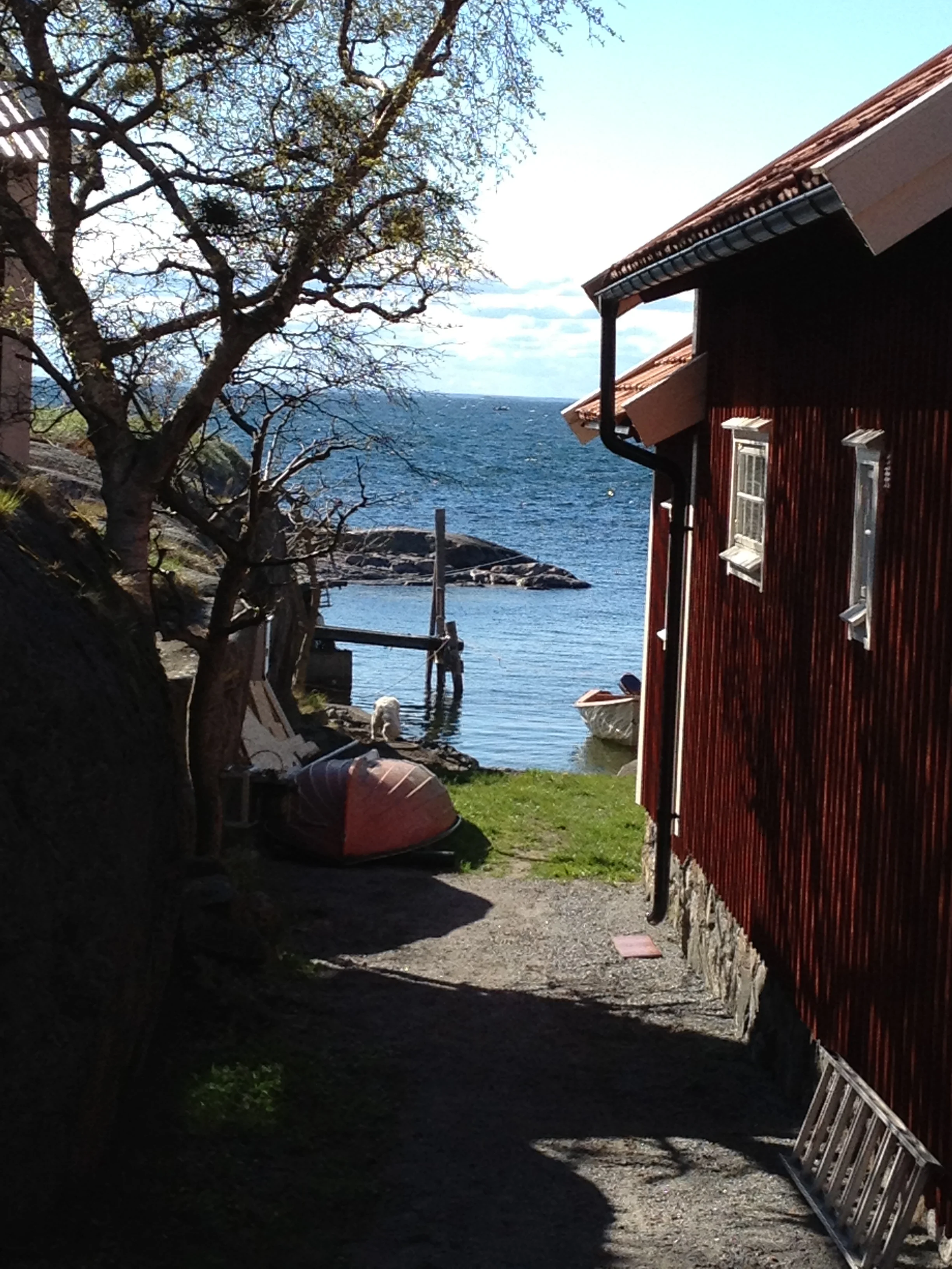 Landsort / Öja, Stockholm arkipelago 2012