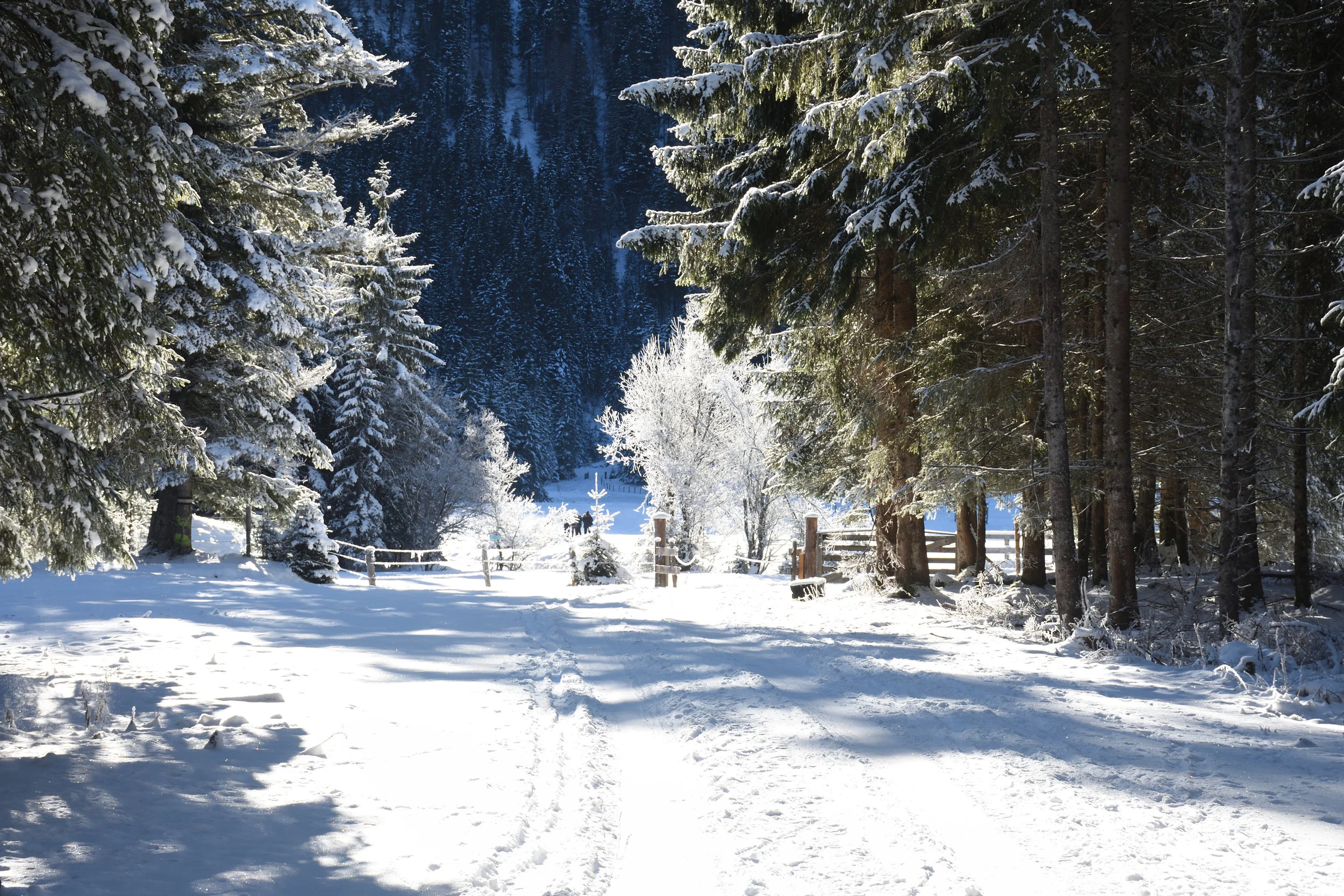 Flachau 2017