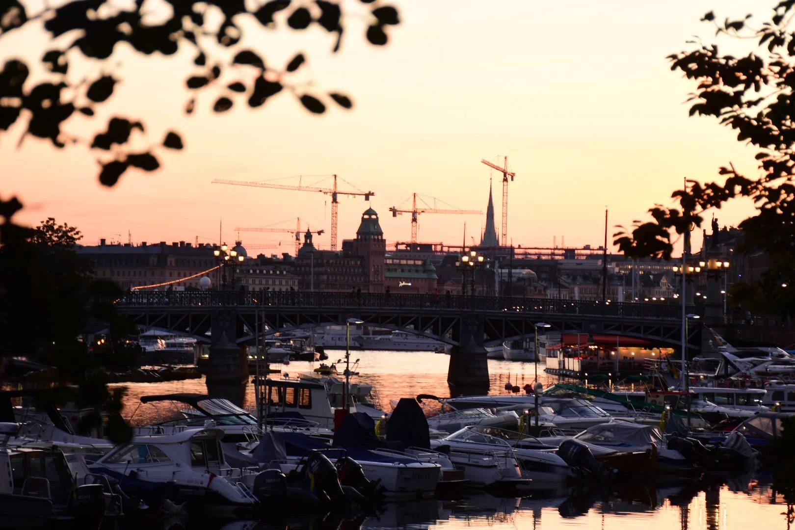 Norra Djurgården, Stockholm 2015