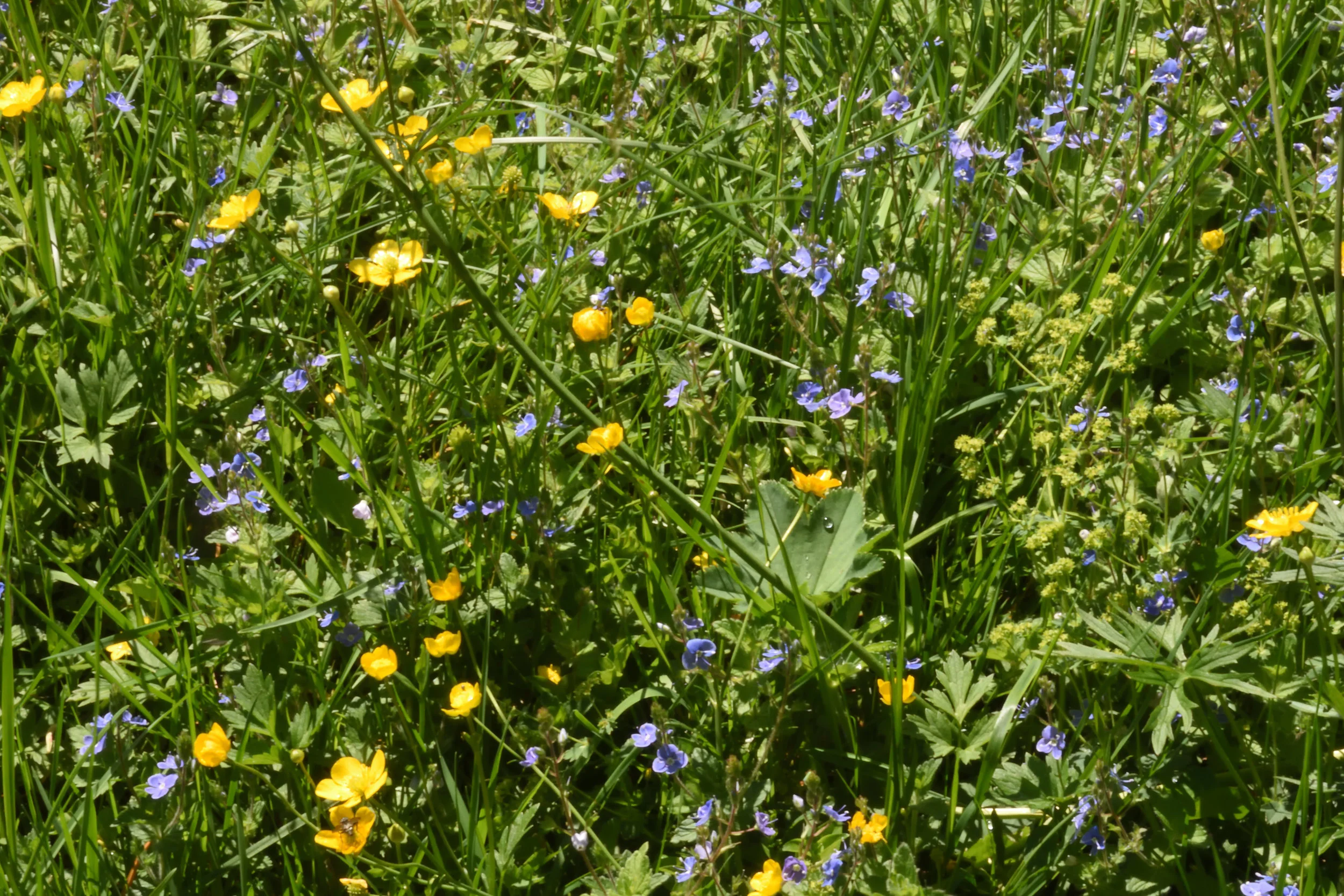 Flachau, Austria May 2017