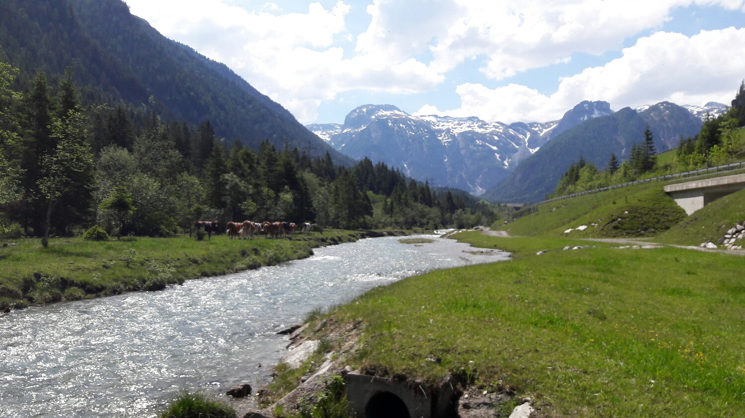 Flachauwinkl, May 2017