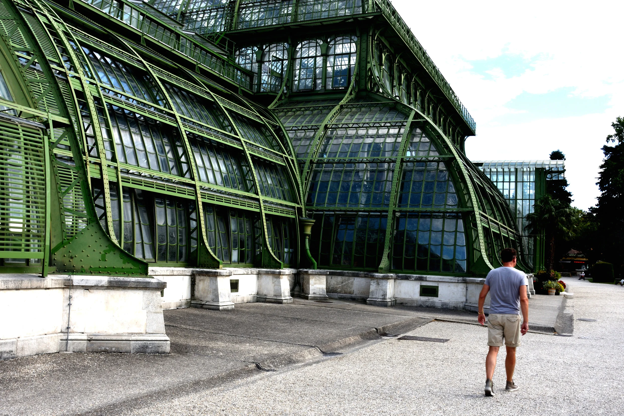 The Palm House, Schönbrunn, July 2017