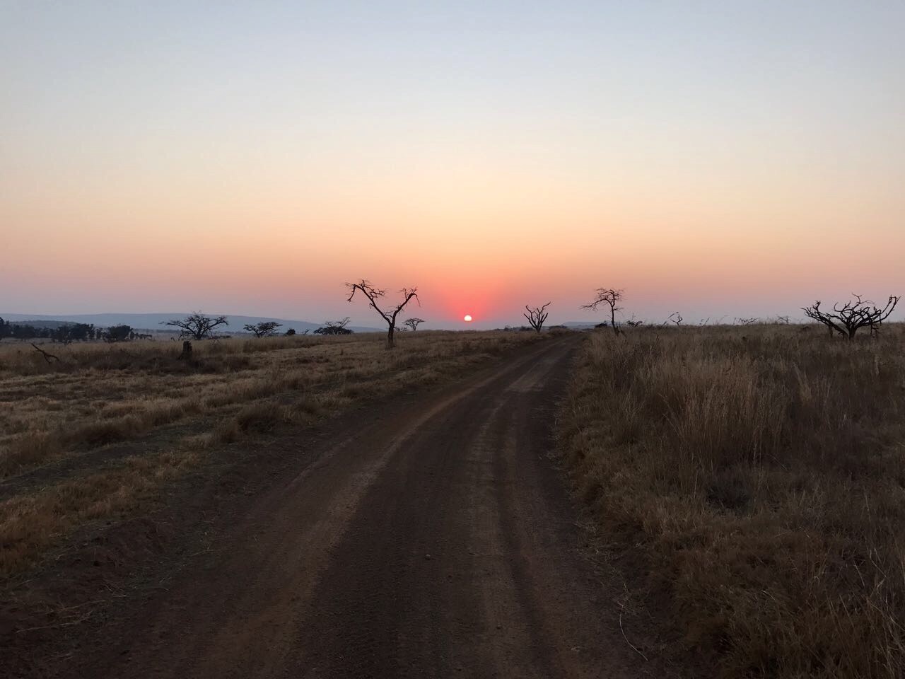 Nambiti Game Reserve, September 2017