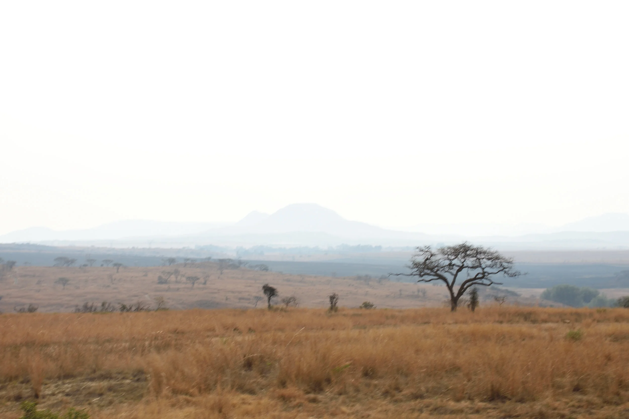 Nambiti Game Reserve, South Africa, September 2017
