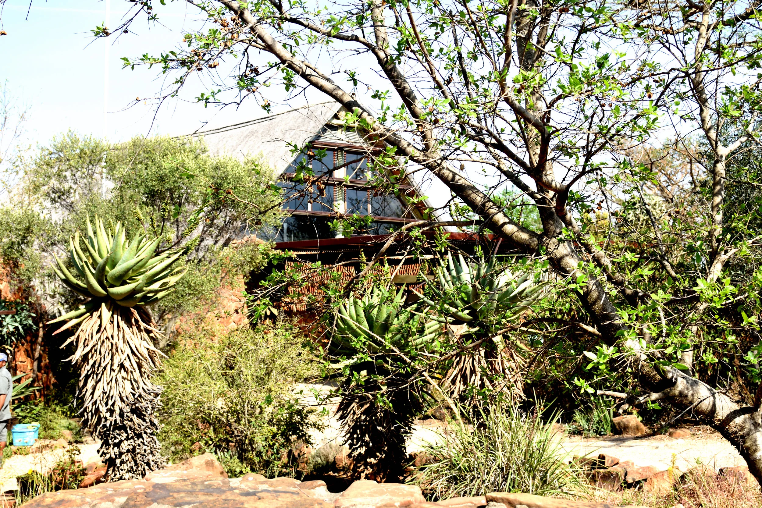 Idwala Lodge, Nambiti Game Reserve, South Africa, September 2017
