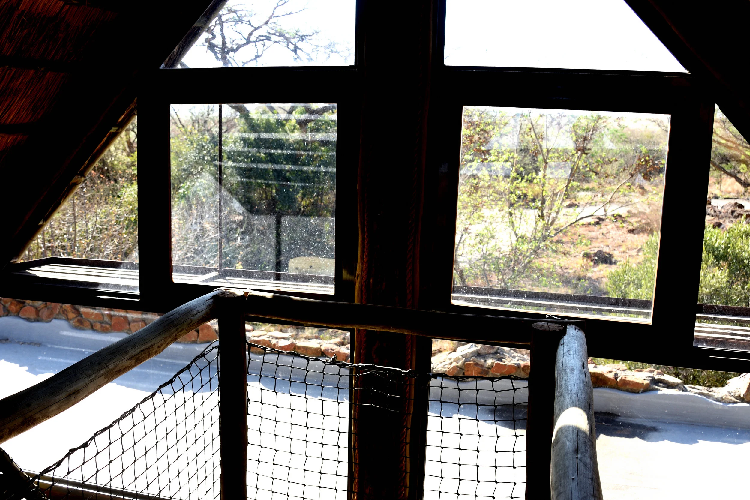Idwala Lodge, Nambiti Game Reserve, South Africa, September 2017