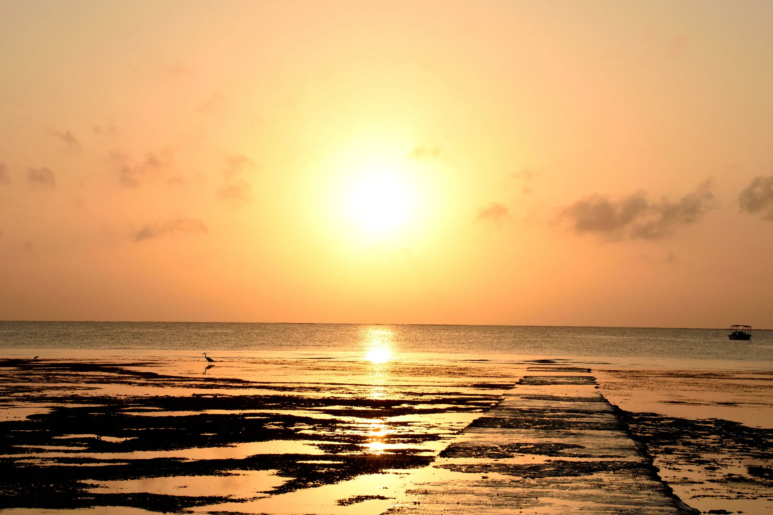 Kindondo Kwetue, Diani Beach, Kenya, October 2017