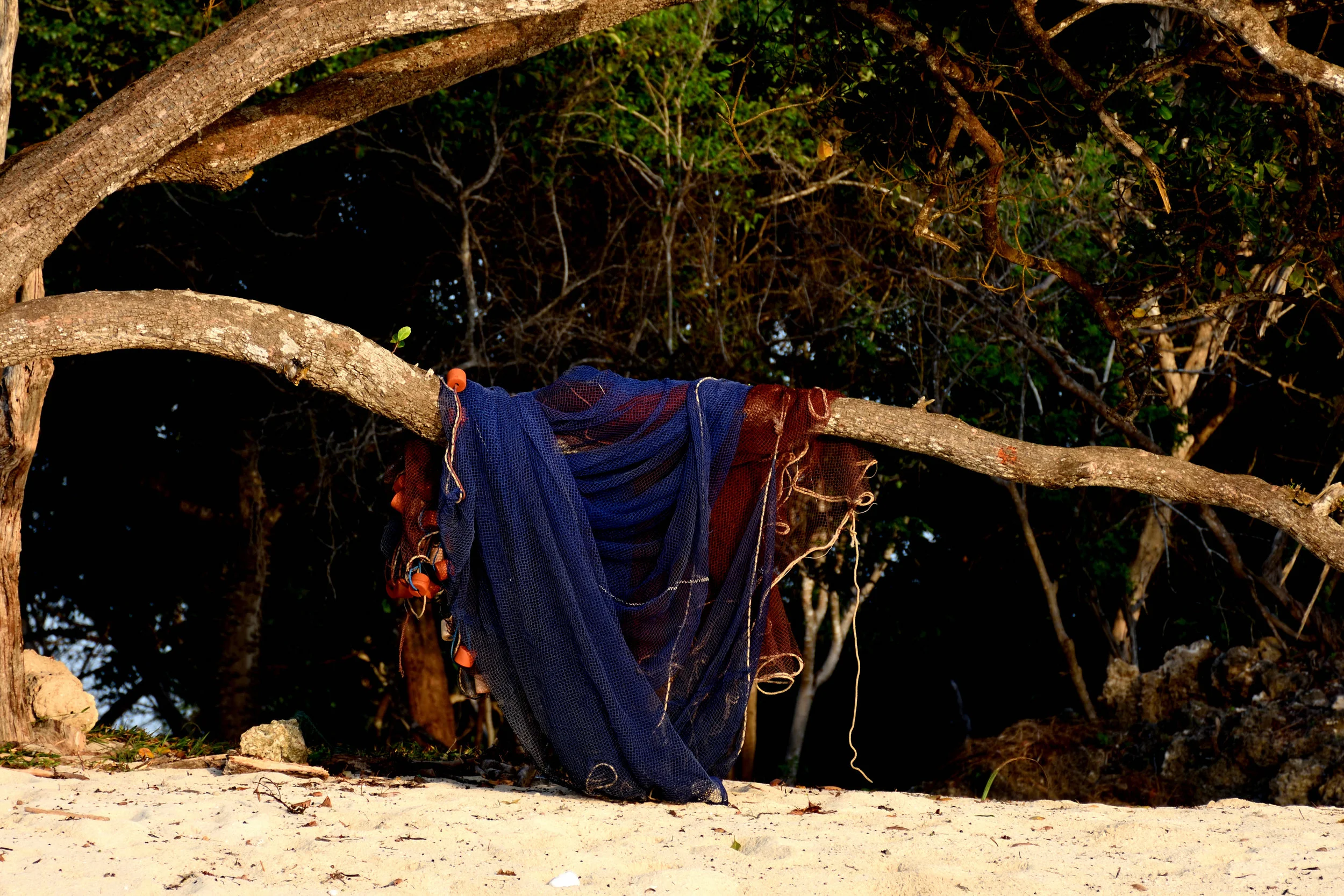 Kindondo Kwetue, Diani Beach, Kenya, October 2017
