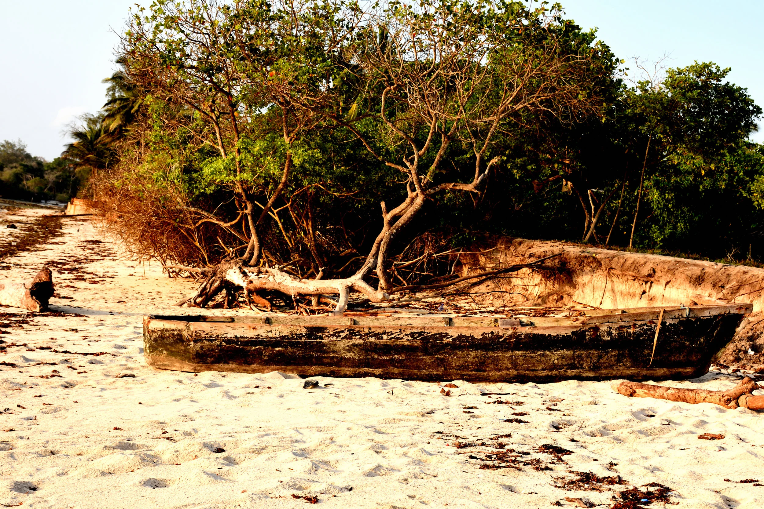 Kindondo Kwetue, Diani Beach, Kenya, October 2017