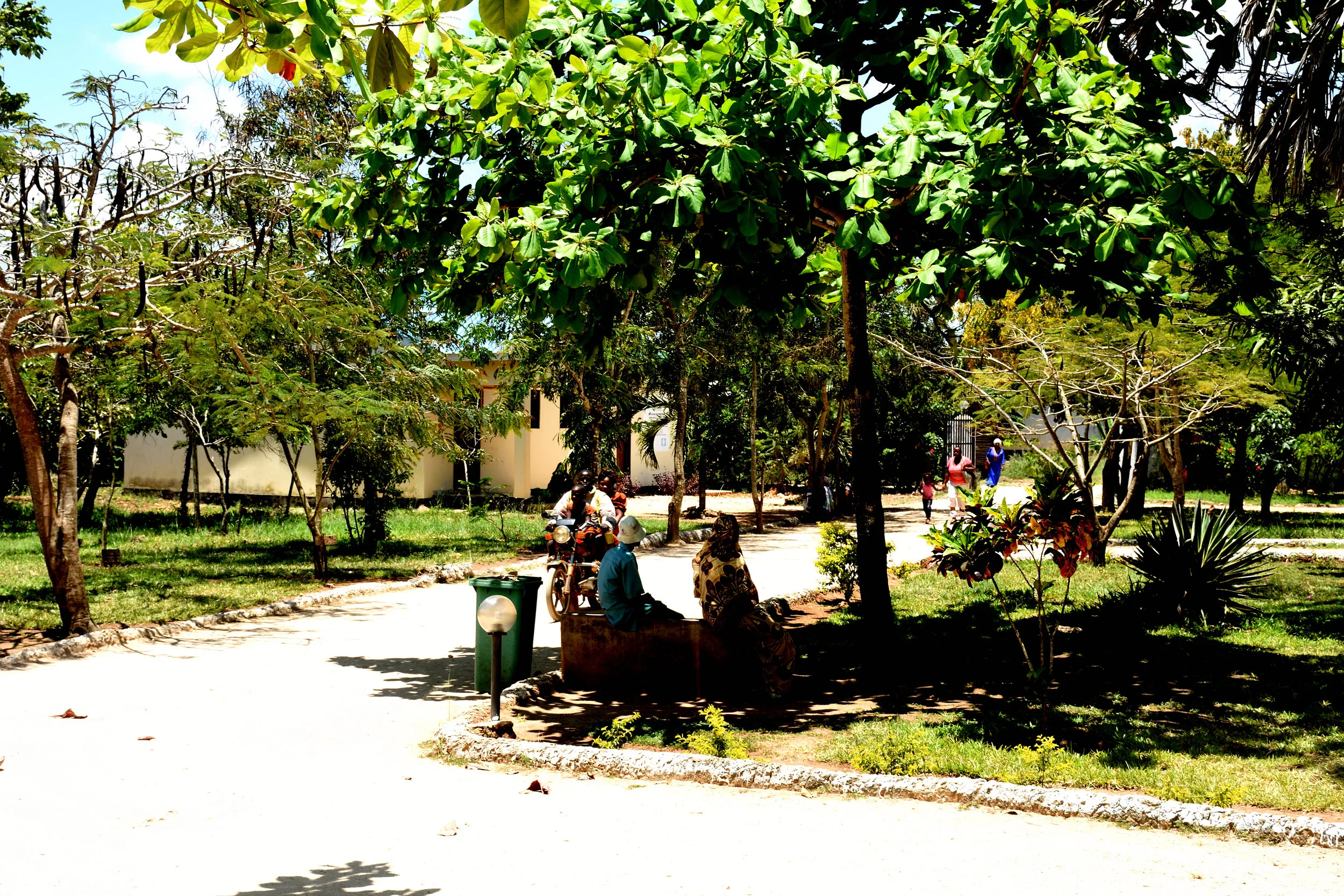 Kinondo Kwetu, Diani Beach, Kenya, October 2017