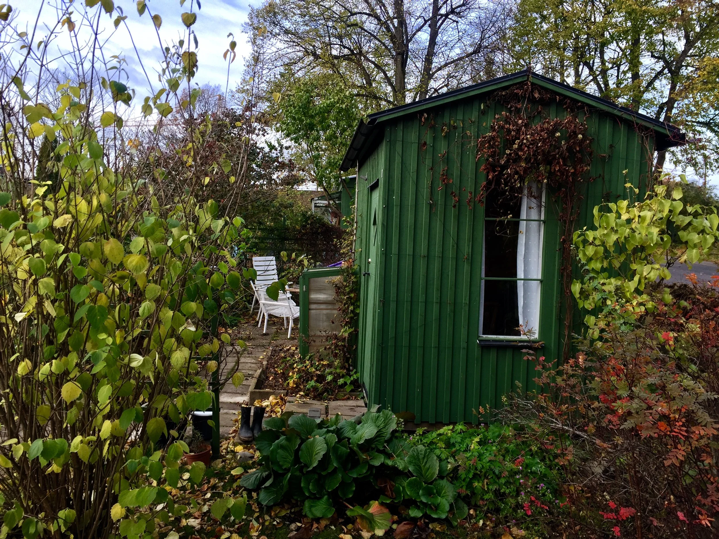 Söderbrunn Allotment, Stockholm, October 2018