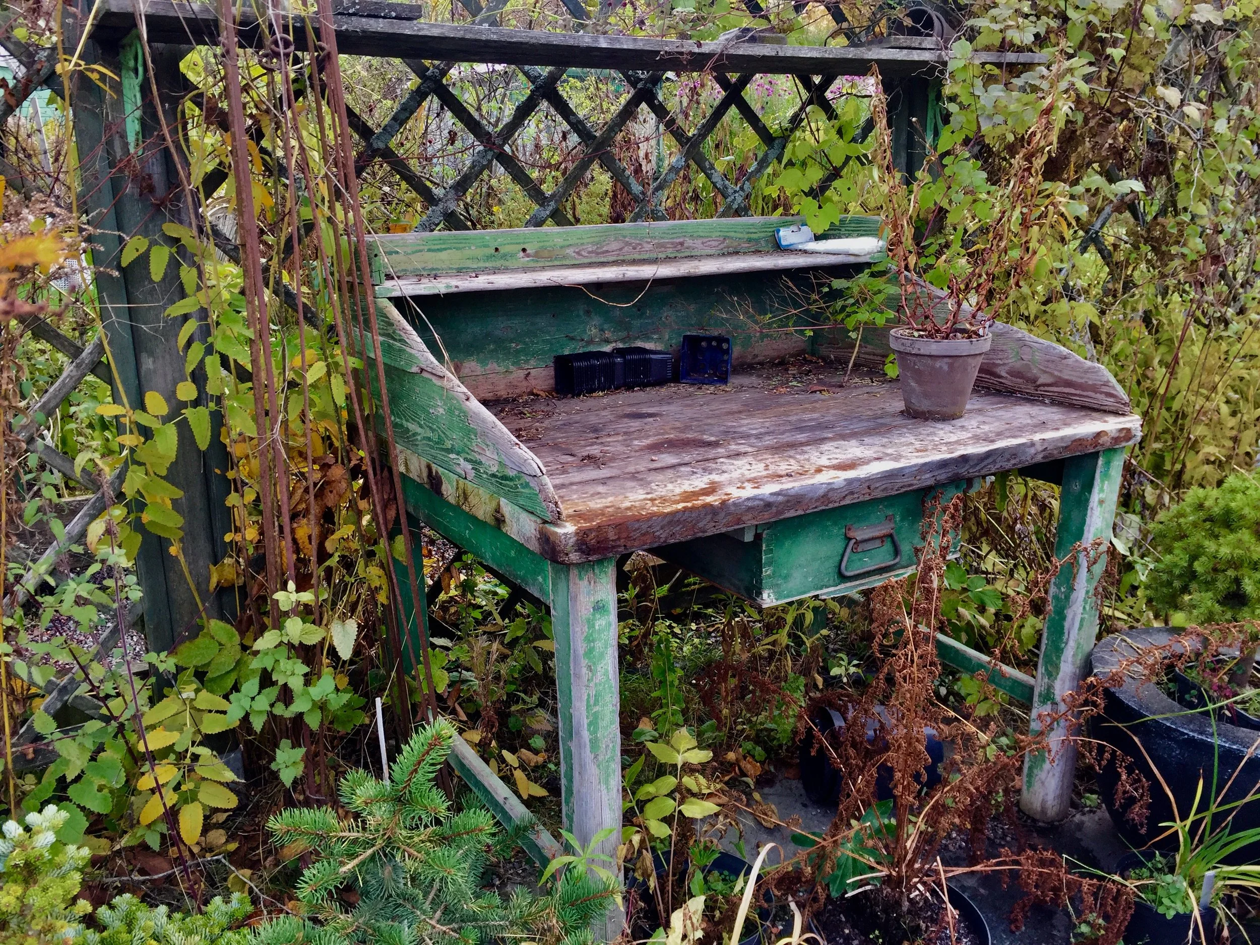 Söderbrunn Alotment, Stockholm, October 2018