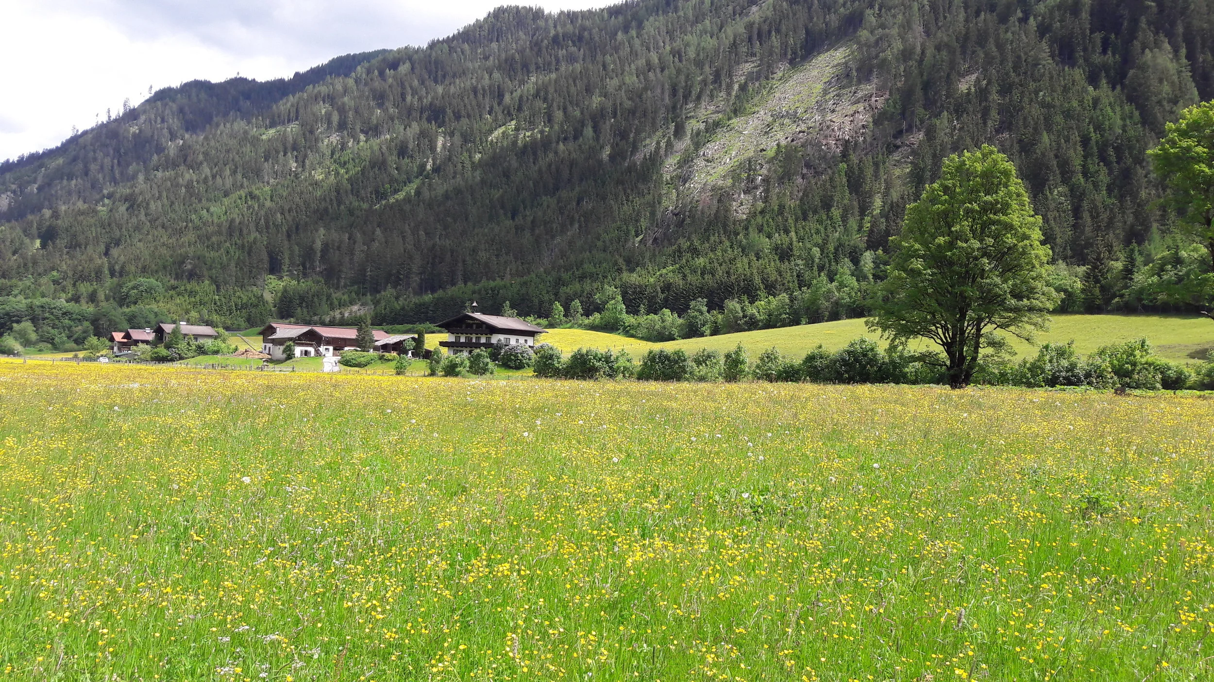 Untertauern, Austria May 2018