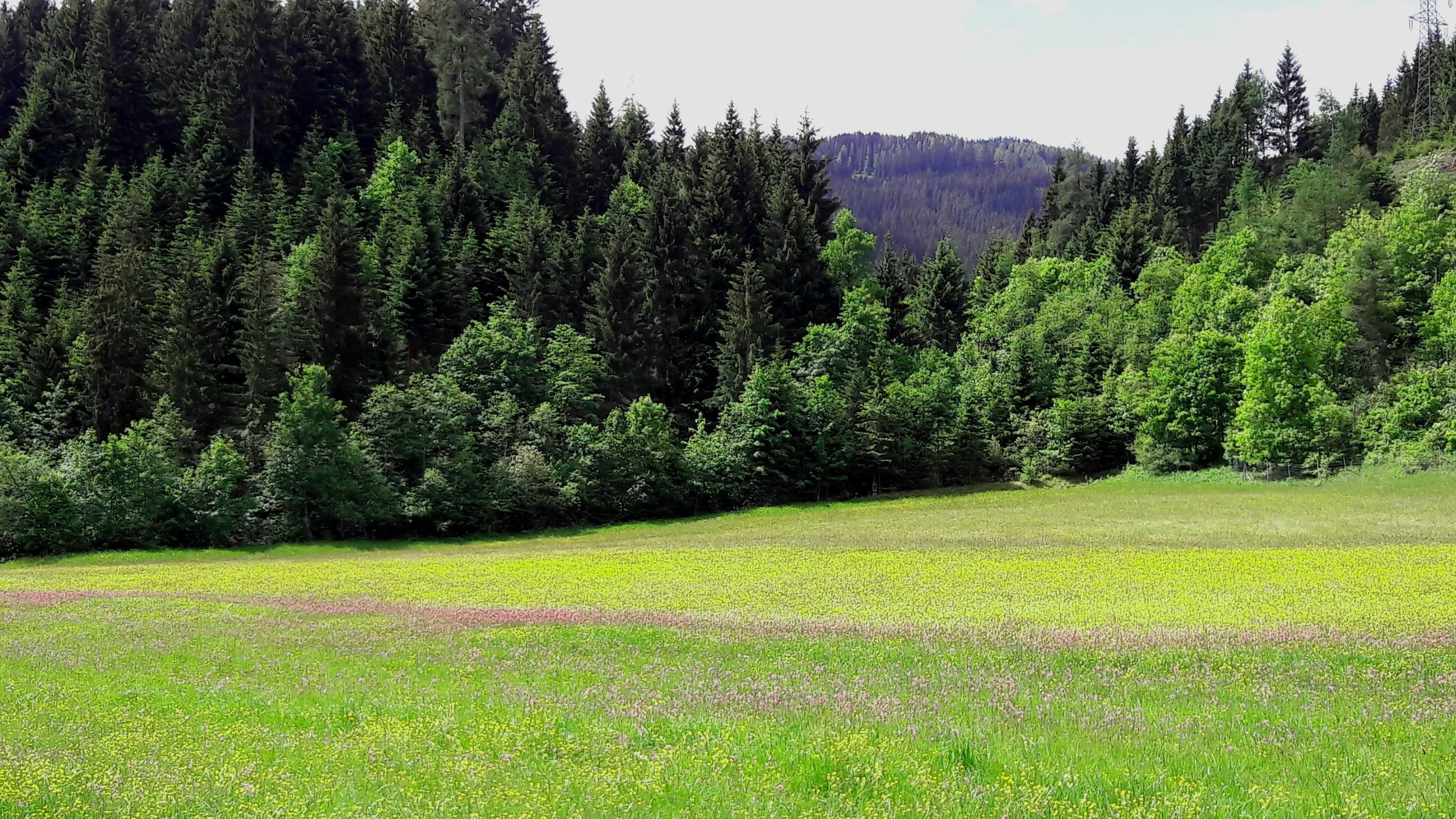 Untertauern, Austria May 2018