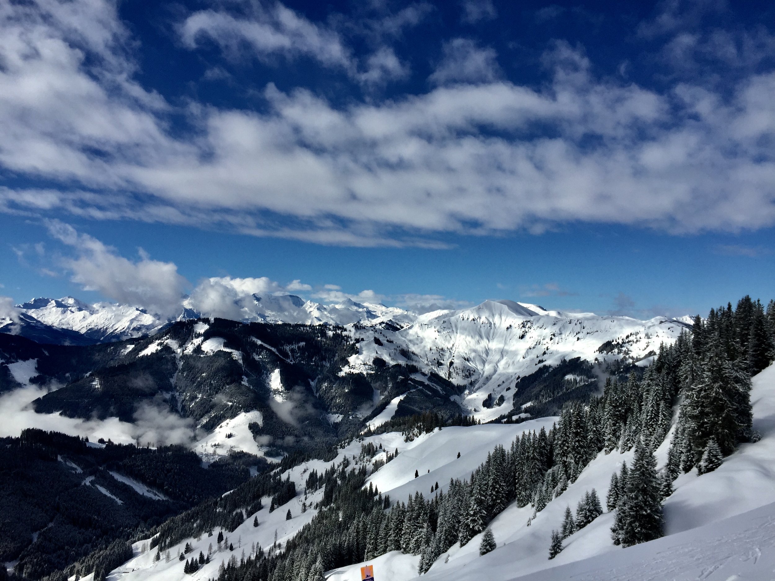 IMG_4085.jpeg