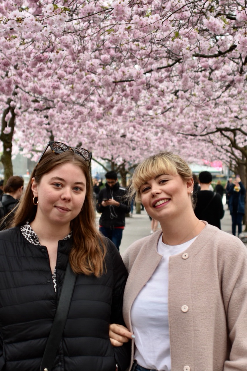 Cherry Blossom dating asiatiska över hela världen