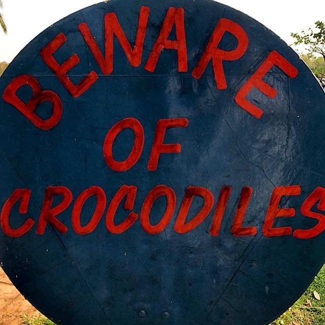 Verklighet n&auml;r du bor vid Zambezifloden! 😁| Reality when staying beside the Zambezi River. #zambezi #zimbabwe #beawareofthecrocodile