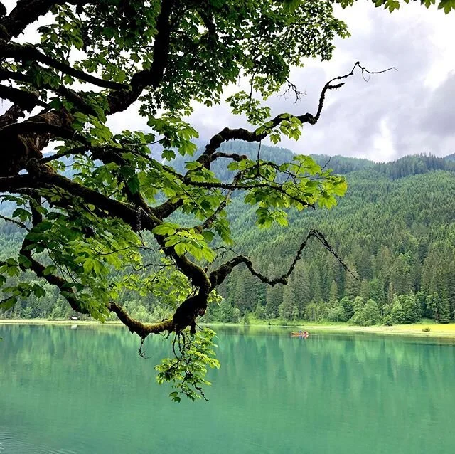 Kom hem ig&aring;r! S&aring; glad att allt gick bra. | All went well yesterday! So happy! #austria #flachau #homeagain