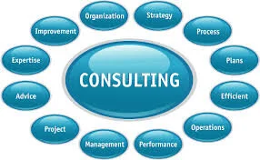 Roberta Pellant Consulting