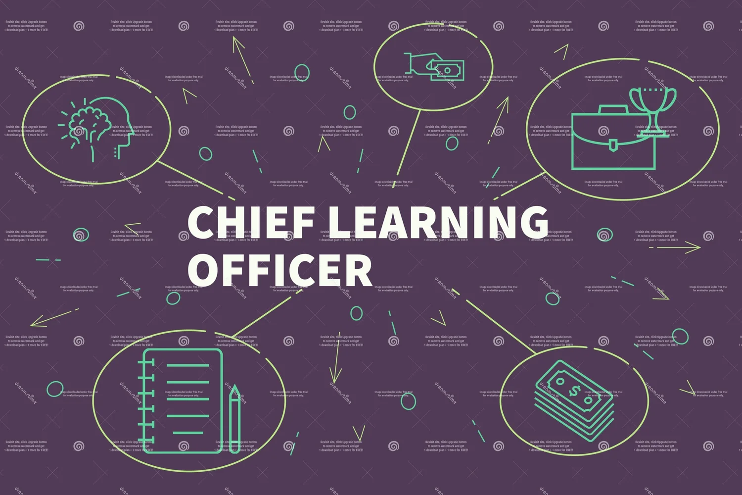 Roberta Pellant Chief Learning Officer (CLO)