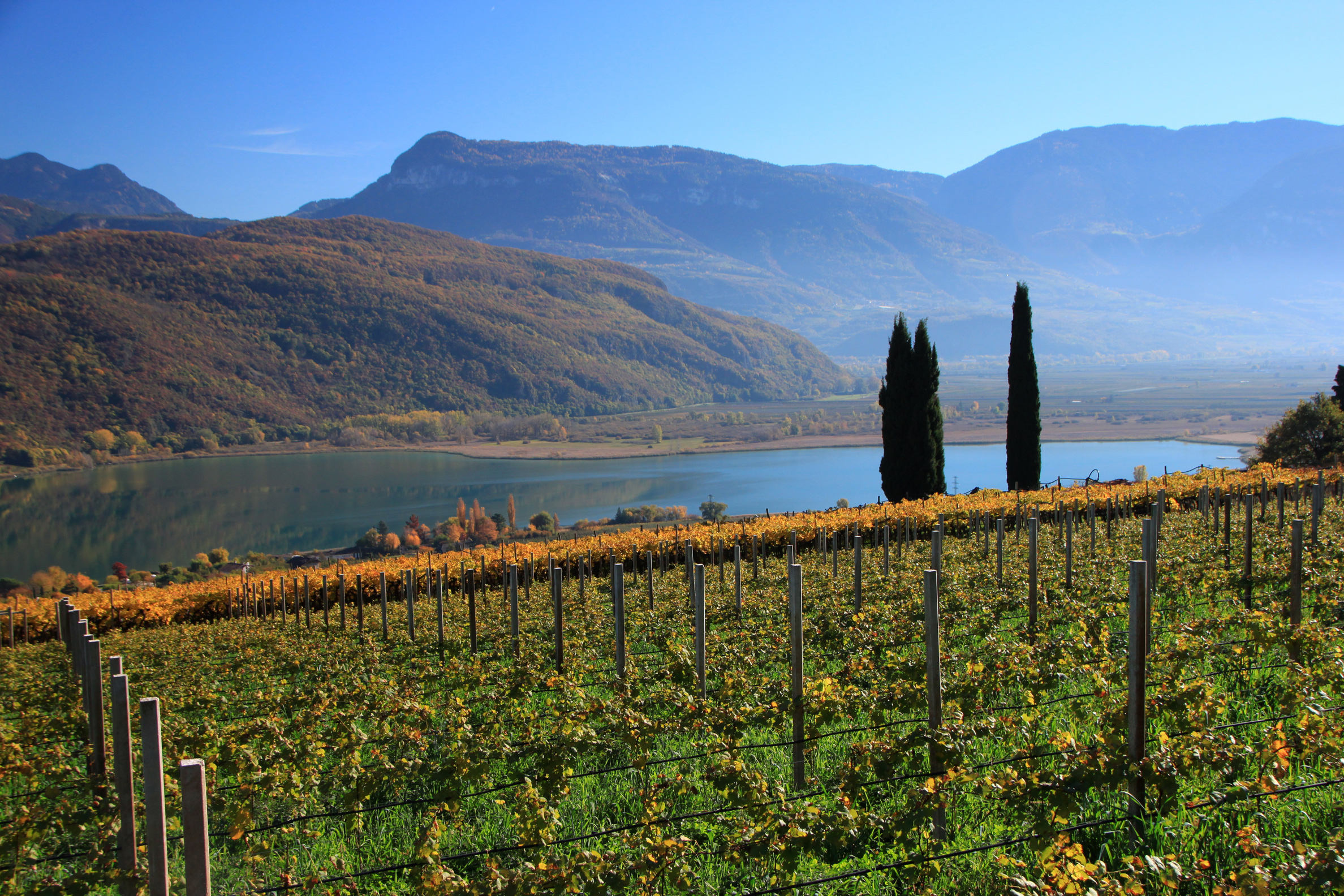 AdobeStock_95527252 copy.jpeg.jpg