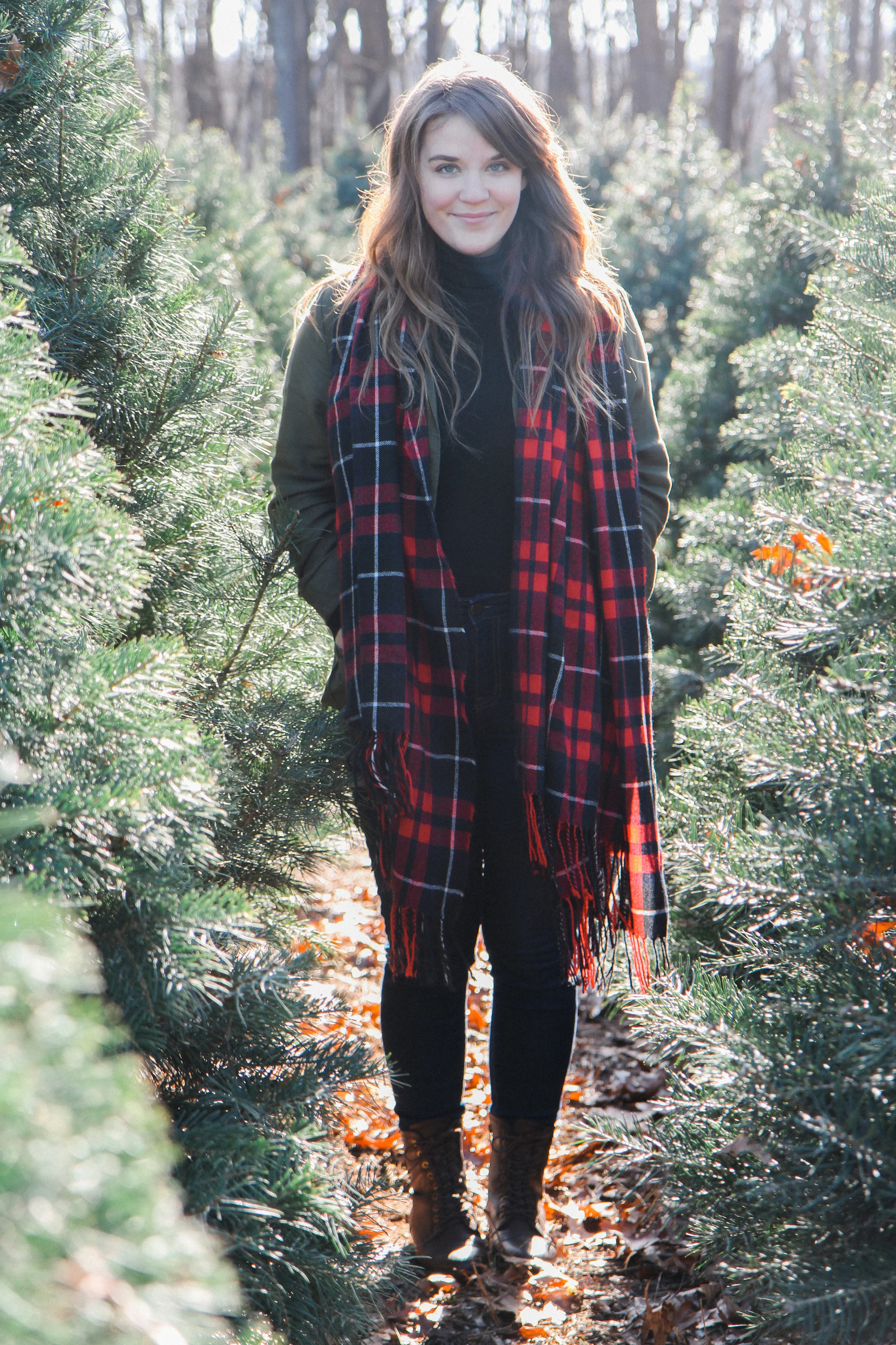 The Christmas tree hunt